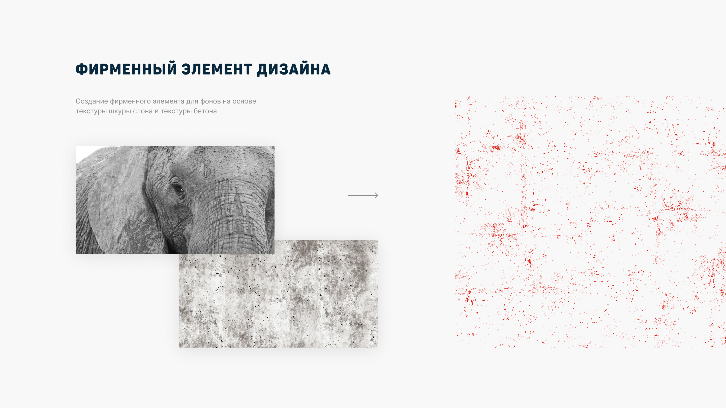 Красный слон — Изображение №9 — Брендинг на Dprofile