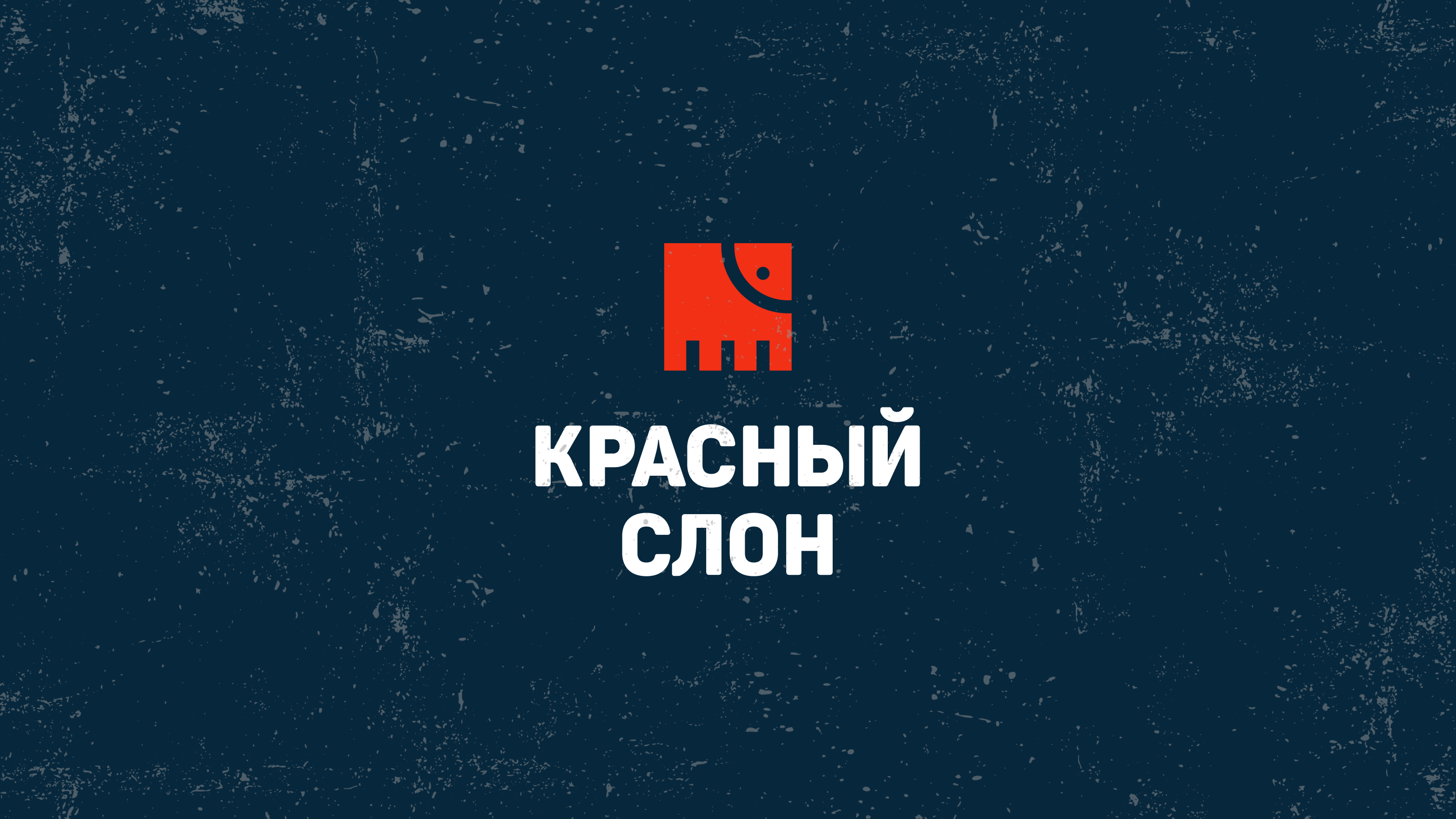 Красный слон — Изображение №10 — Брендинг на Dprofile