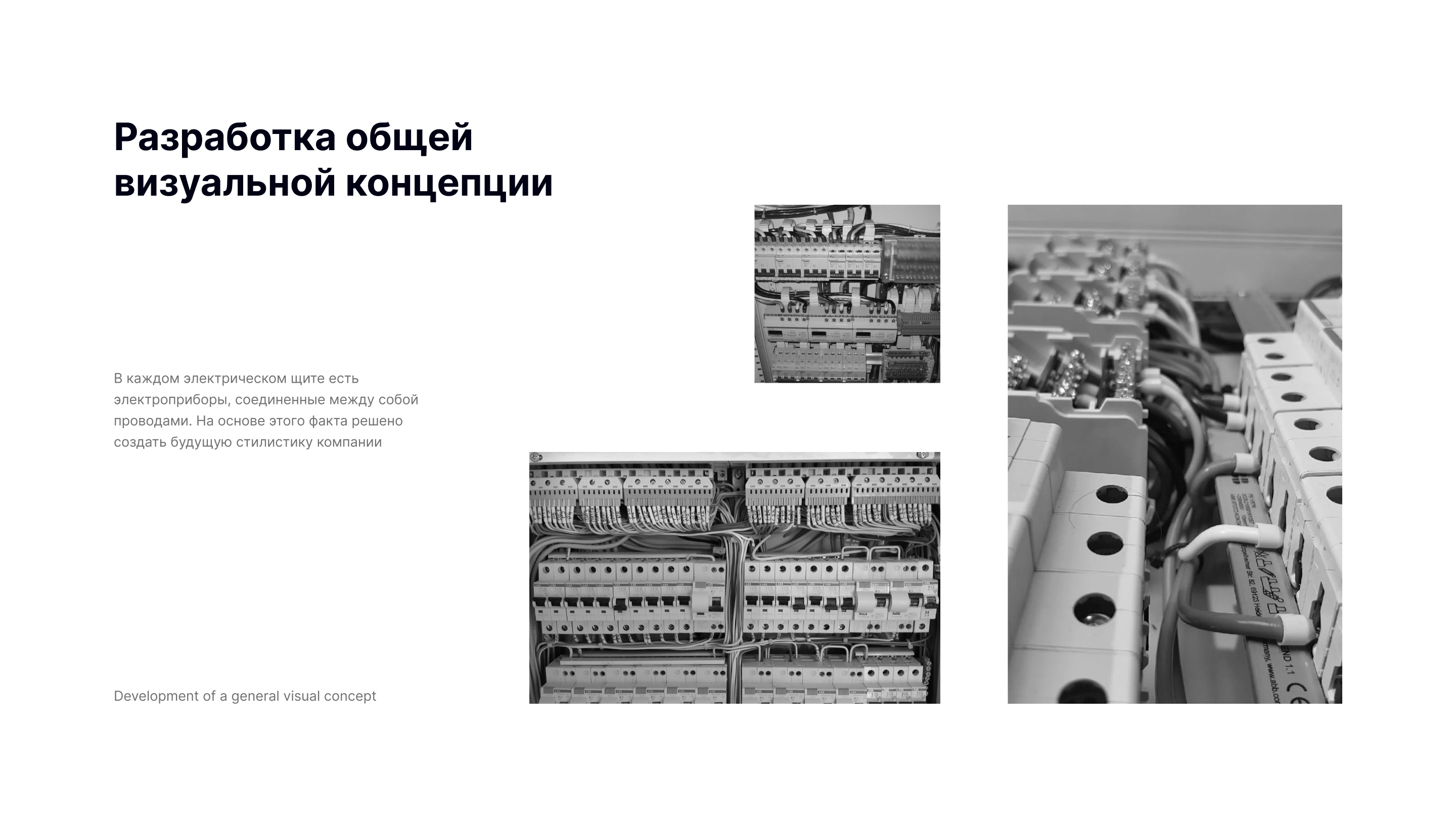 Elacori — Изображение №2 — Брендинг на Dprofile