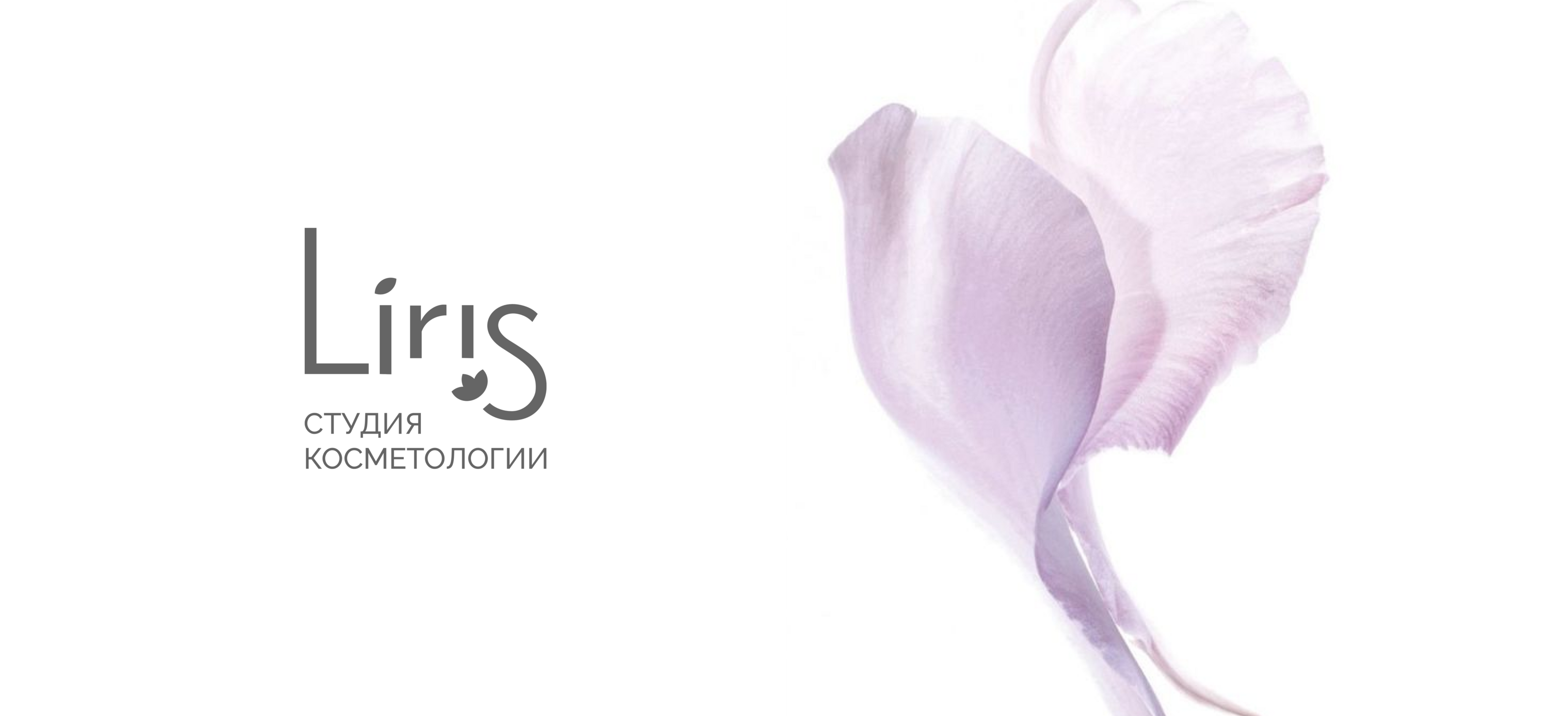 Liris. Identity. web design. guidlines — Изображение №6 — Интерфейсы, Брендинг на Dprofile
