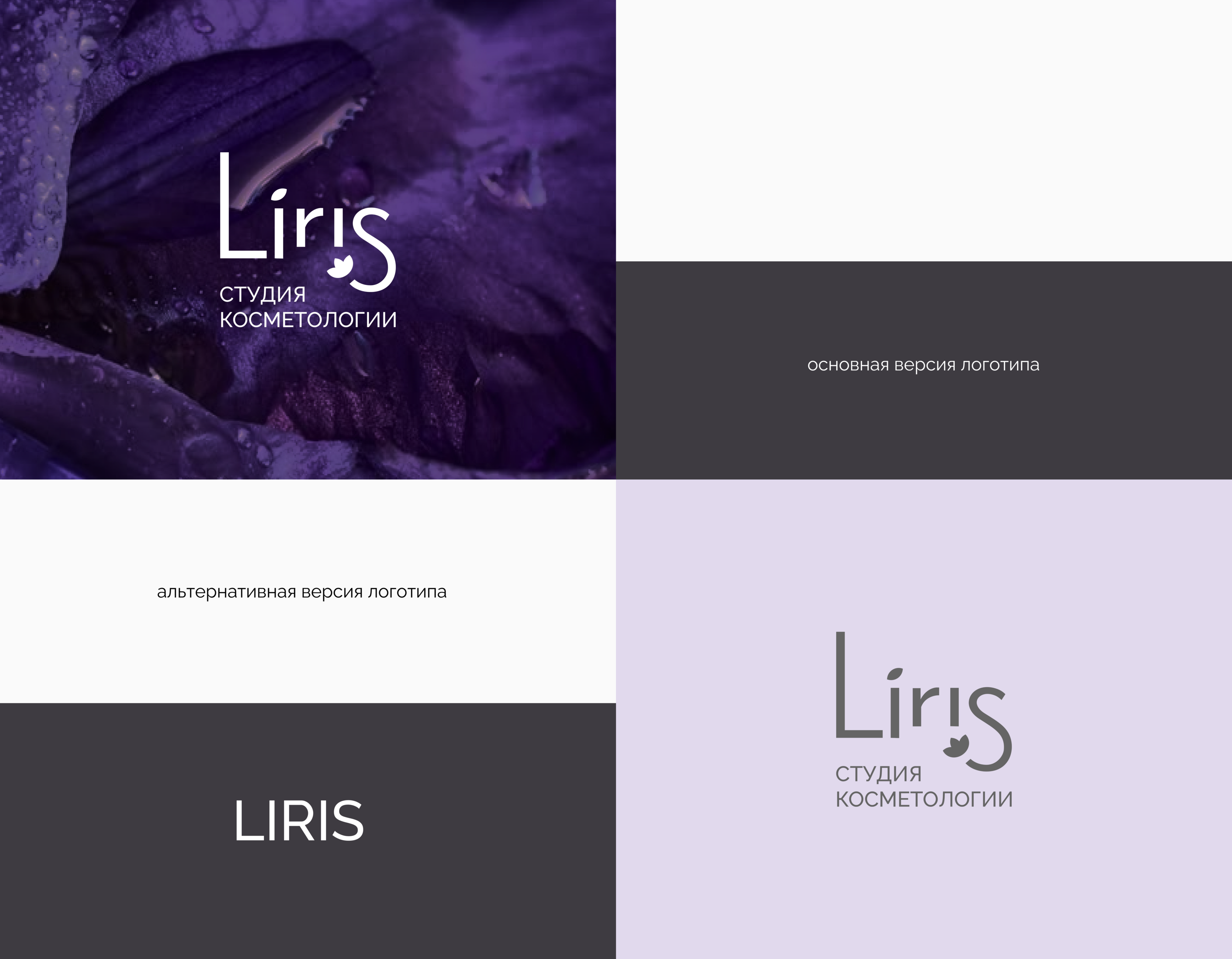 Liris. Identity. web design. guidlines — Изображение №3 — Интерфейсы, Брендинг на Dprofile