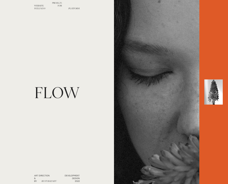 FLOW на Dprofile