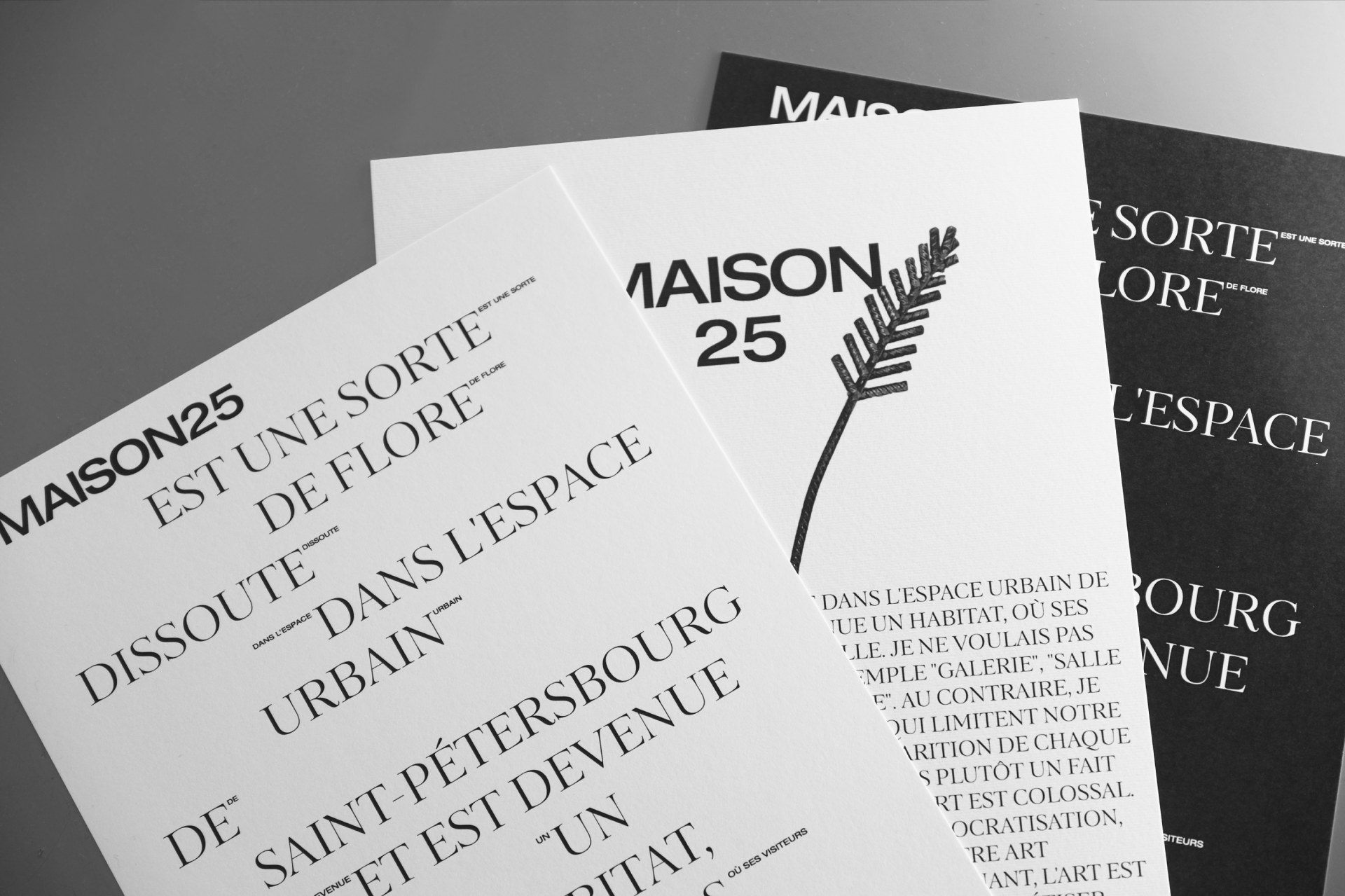 MAISON25 — Изображение №5 — Интерфейсы, Брендинг на Dprofile