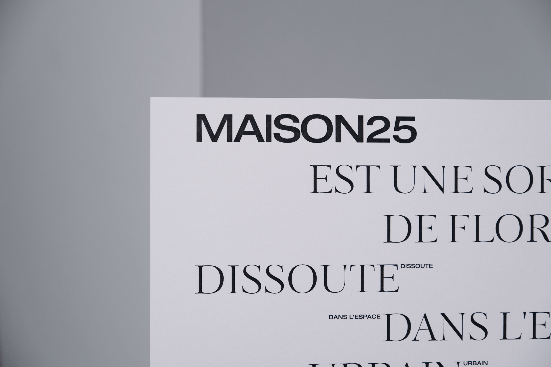MAISON25 — Изображение №1 — Интерфейсы, Брендинг на Dprofile