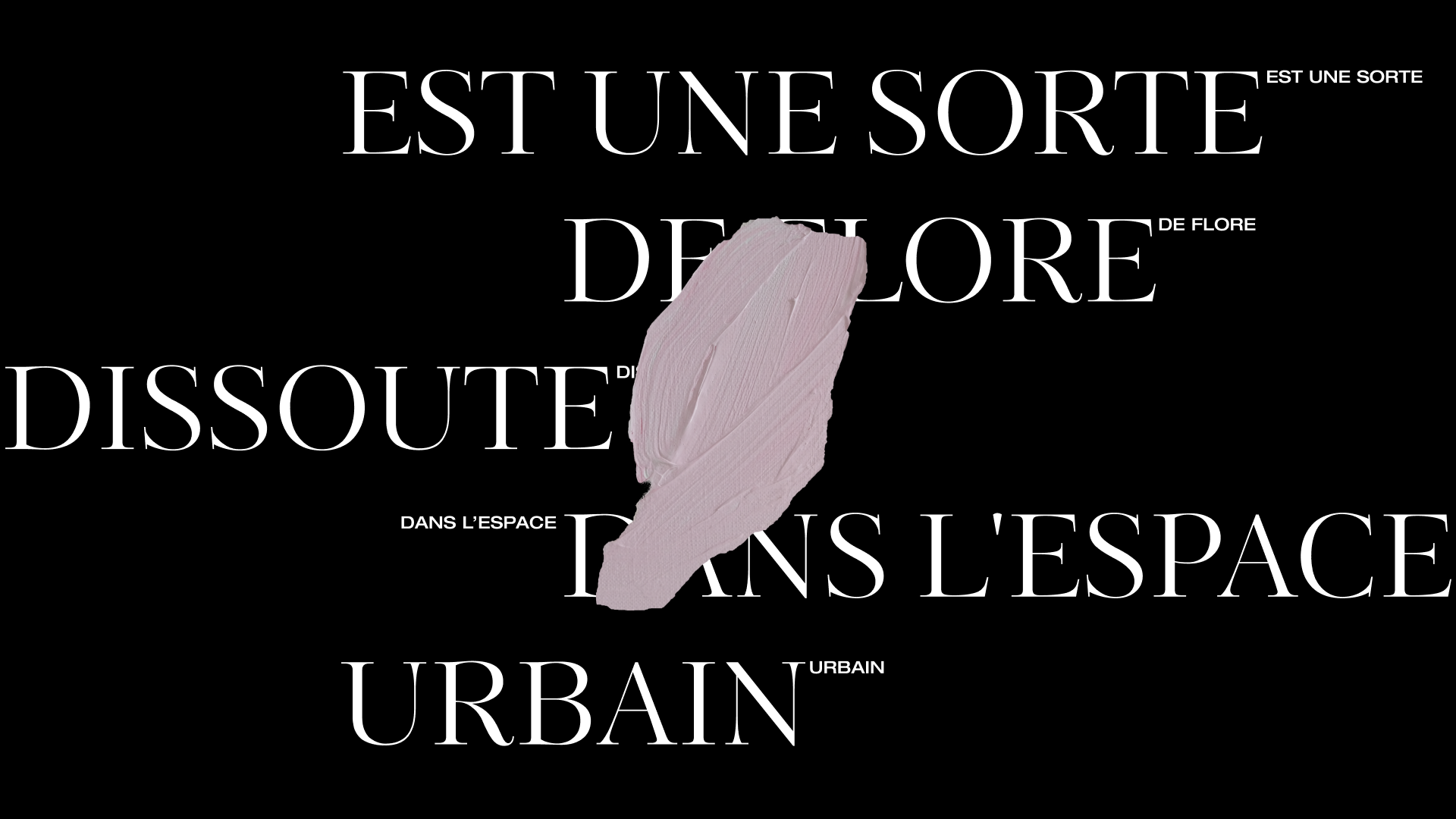 MAISON25 — Изображение №21 — Интерфейсы, Брендинг на Dprofile