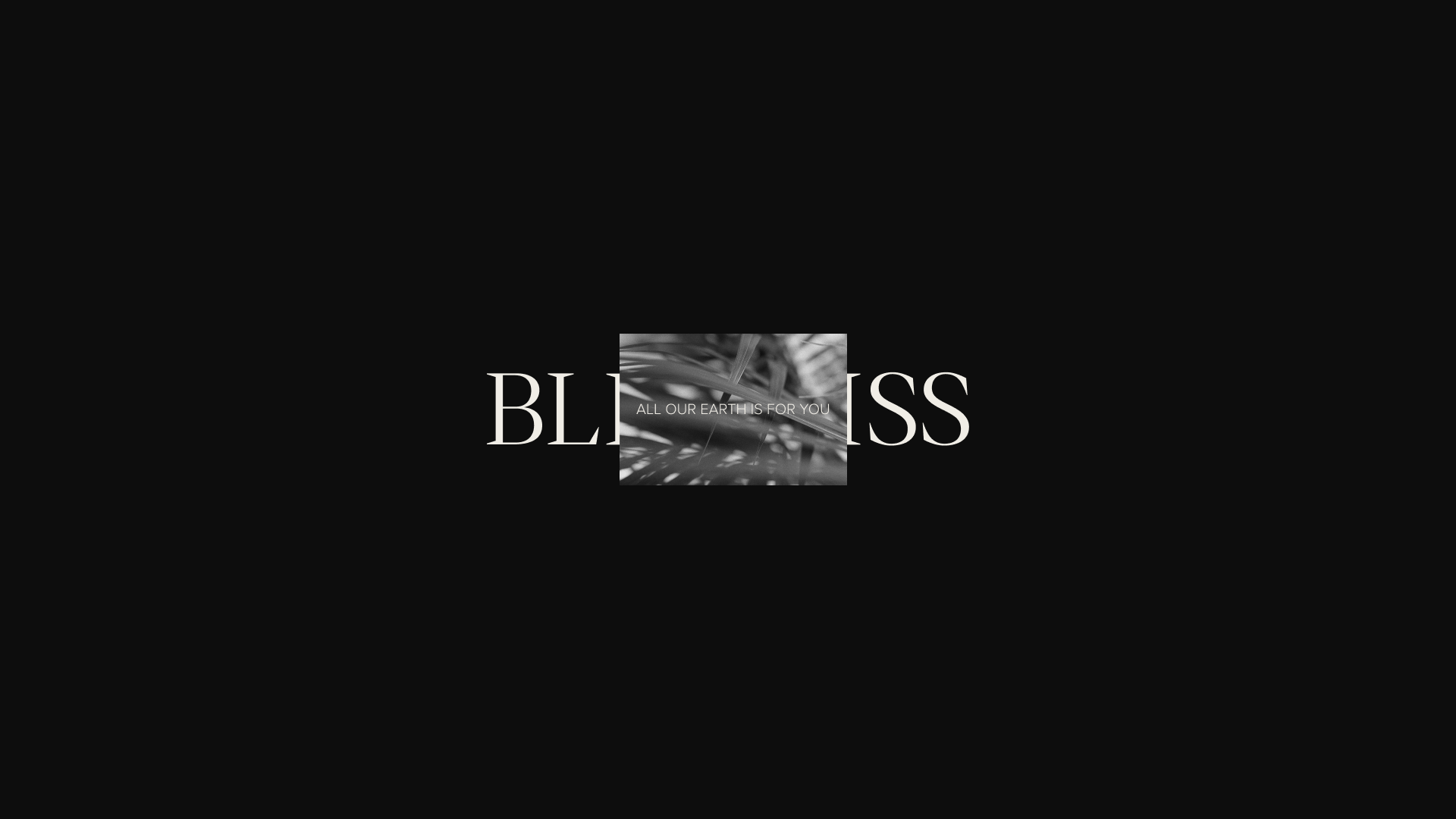 BLISS — Изображение №5 — Брендинг, Графика на Dprofile