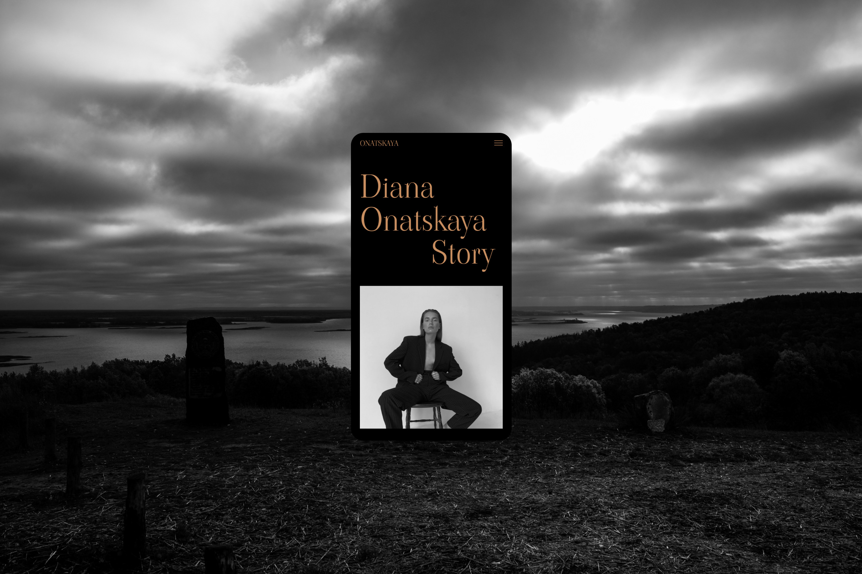 Diana Onatskaya — Изображение №17 — Интерфейсы, Брендинг на Dprofile