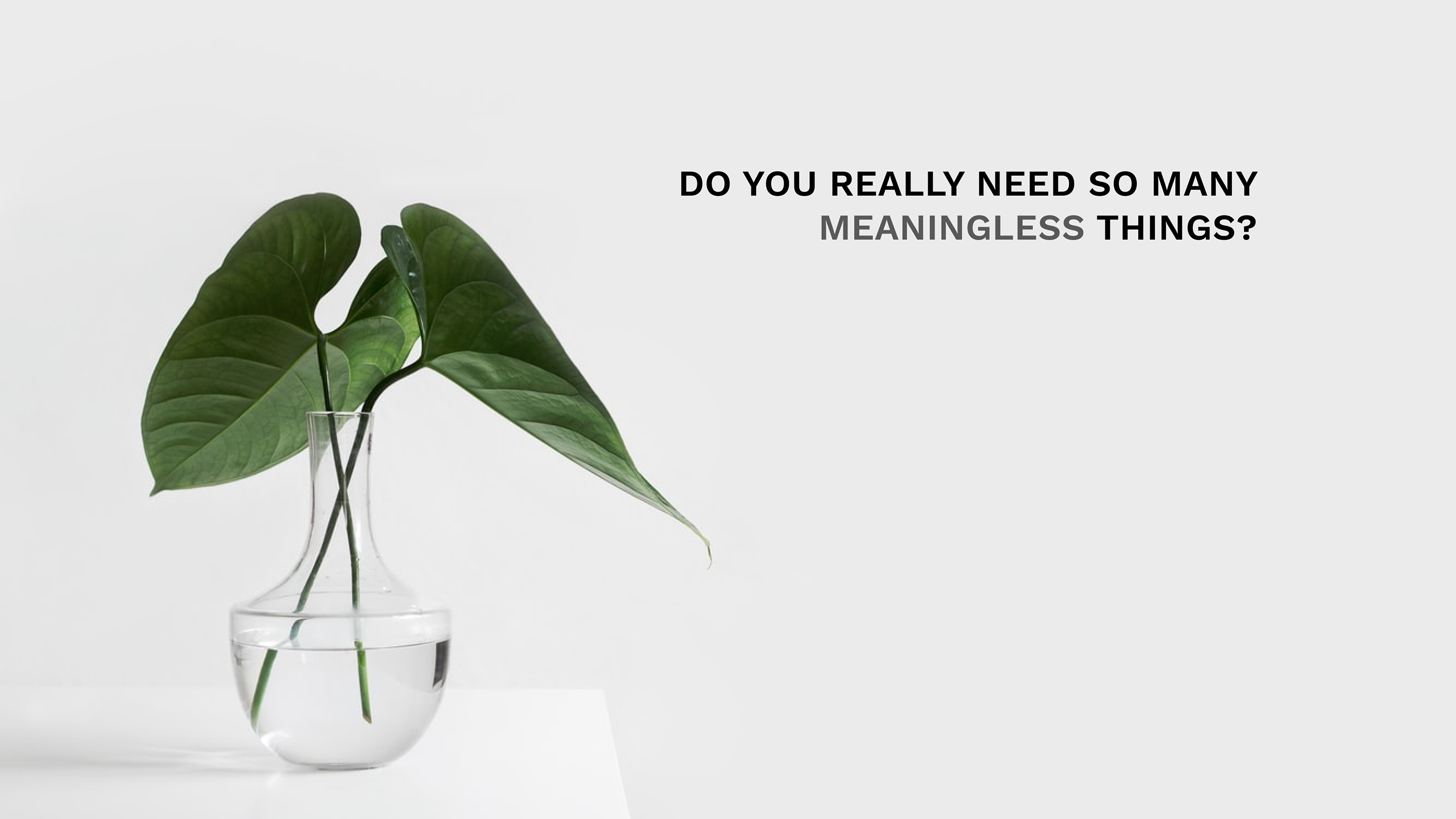 Minimalist - real estate project — Изображение №32 — Интерфейсы, Анимация на Dprofile