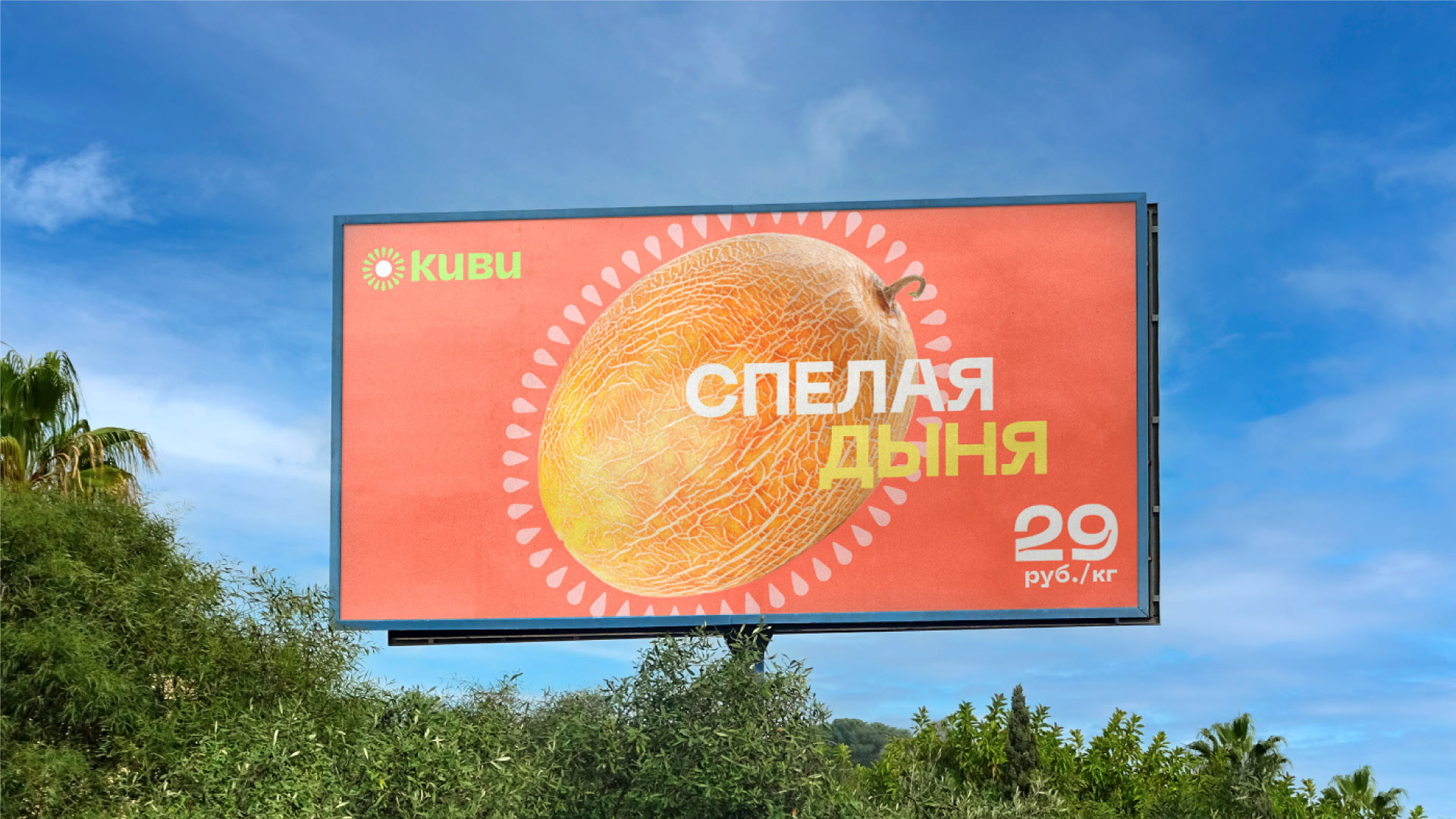 Киви - брендинг магазина органических продуктов — Изображение №10 — Брендинг на Dprofile