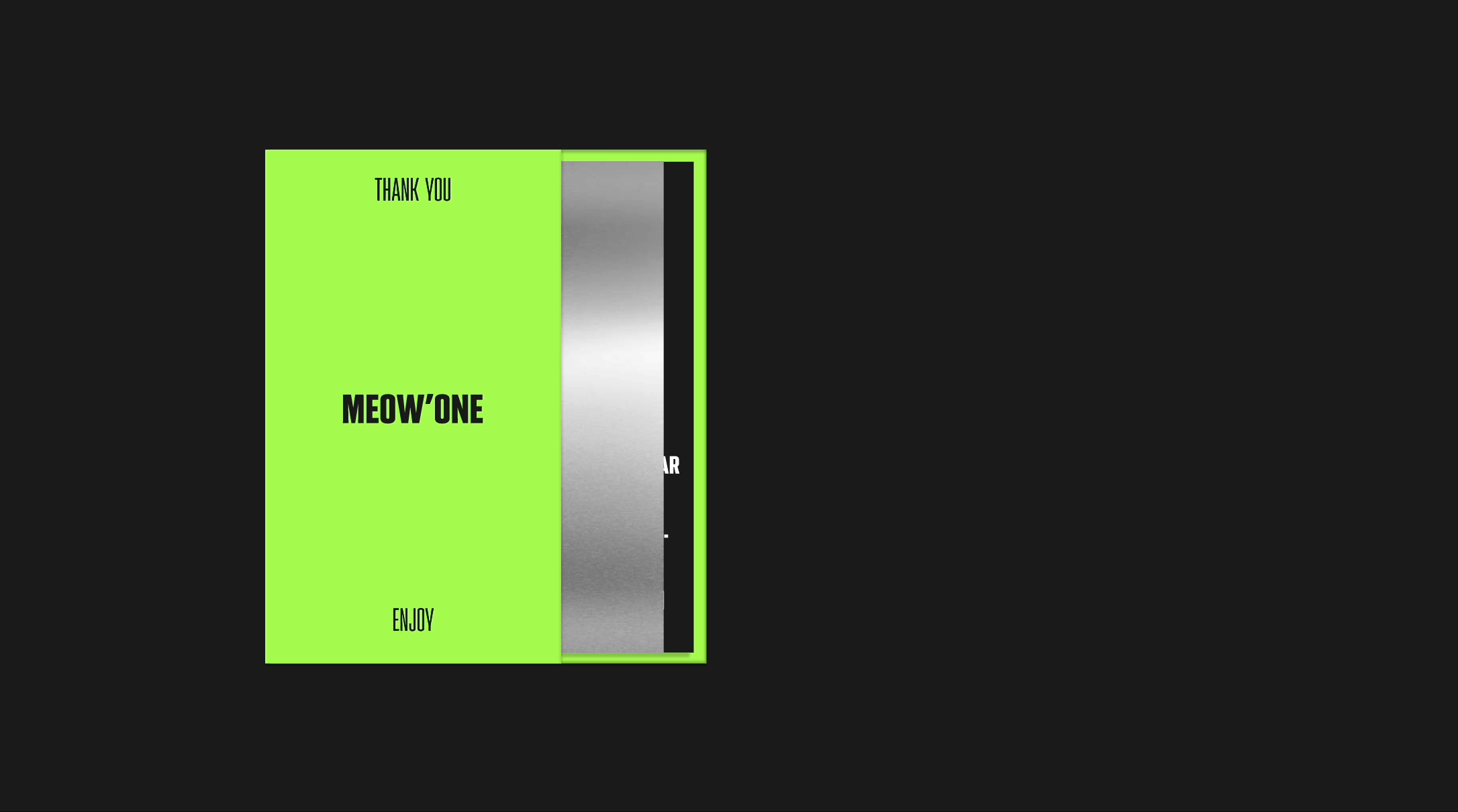 MEOW'ONE | бренд одежды — Изображение №10 — Брендинг, Маркетинг на Dprofile