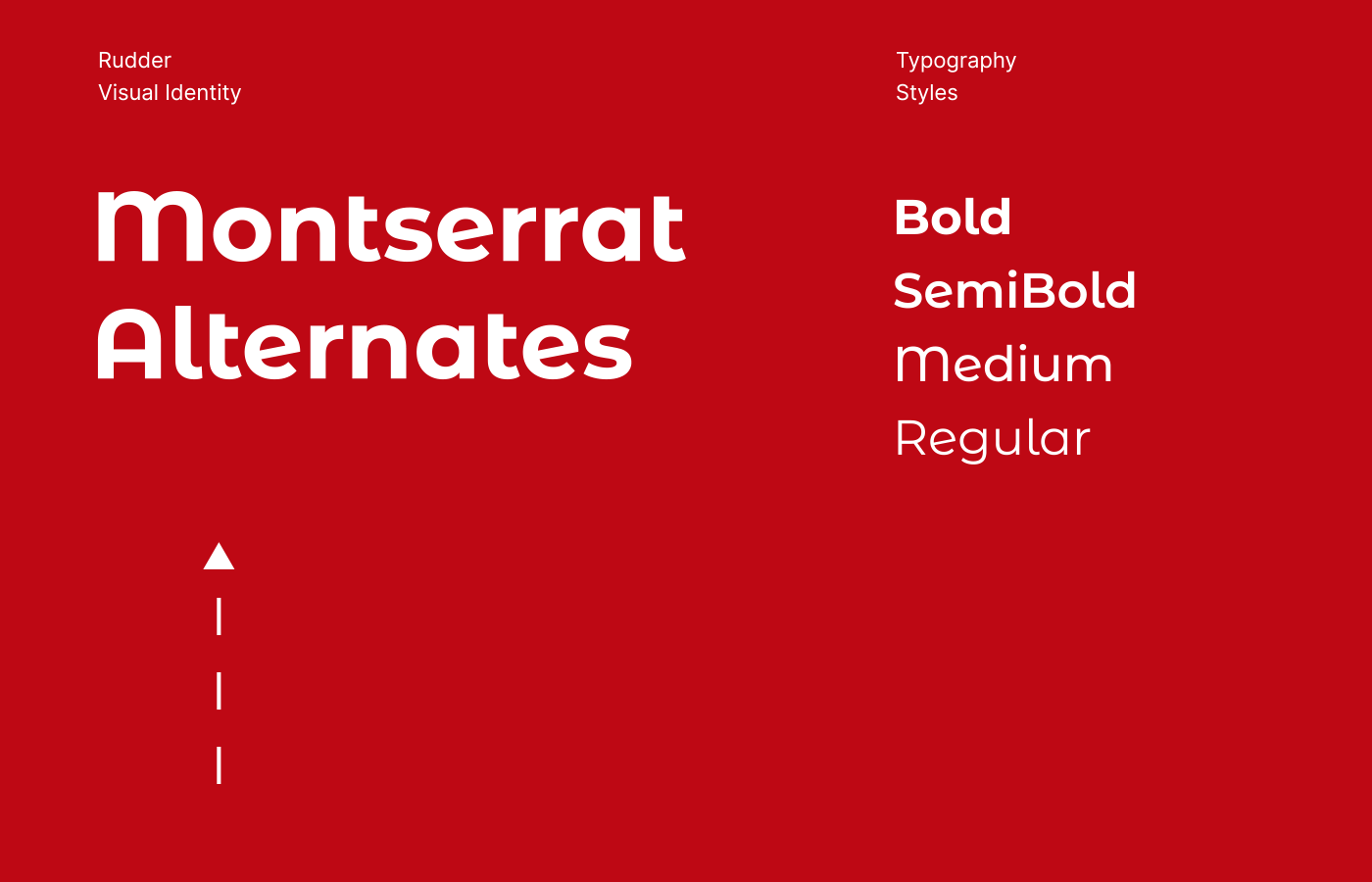 Rudder - branding — Изображение №8 — Брендинг, Графика на Dprofile