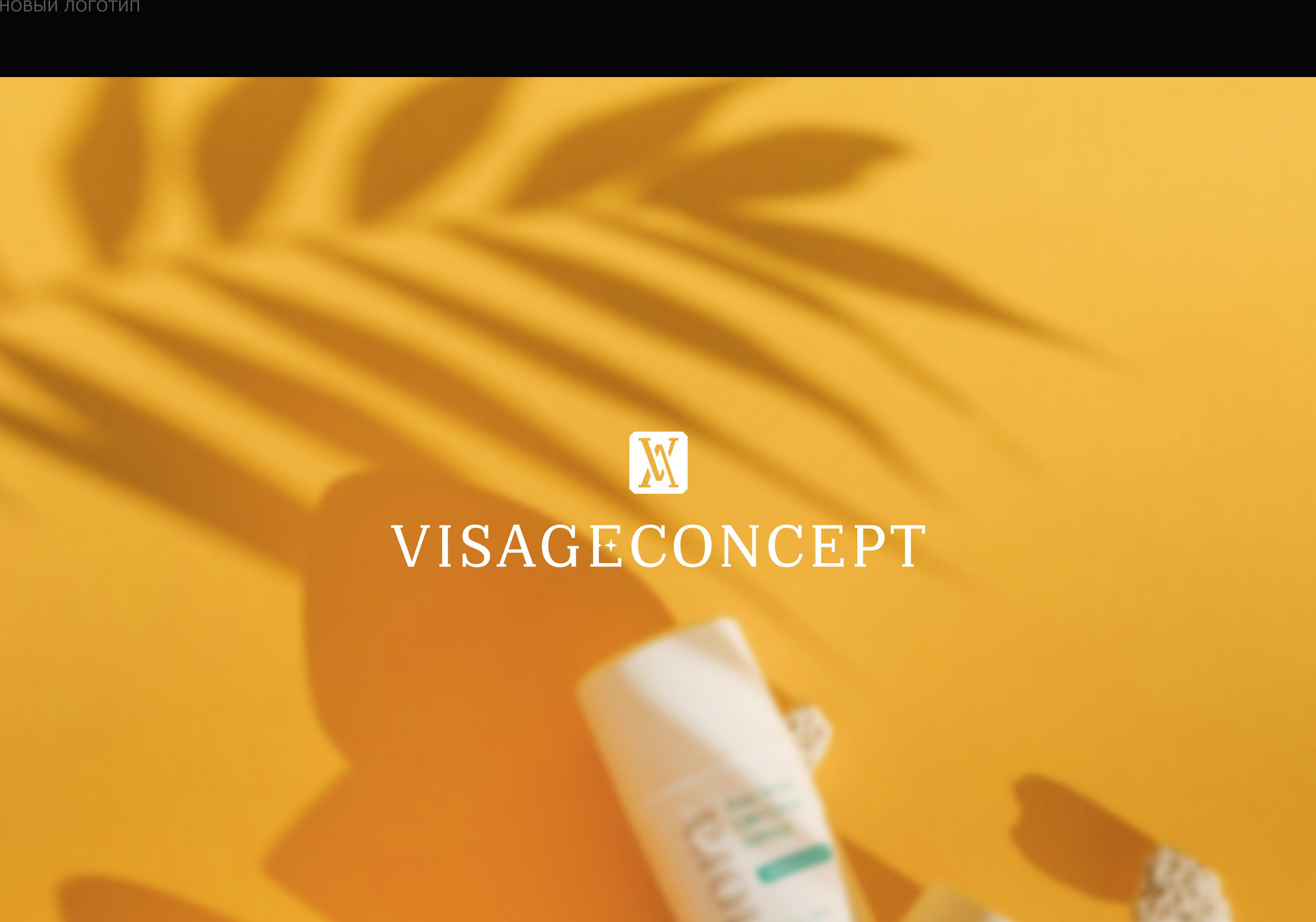 VISAGE HALL - rebranding — Изображение №18 — Брендинг, Графика на Dprofile