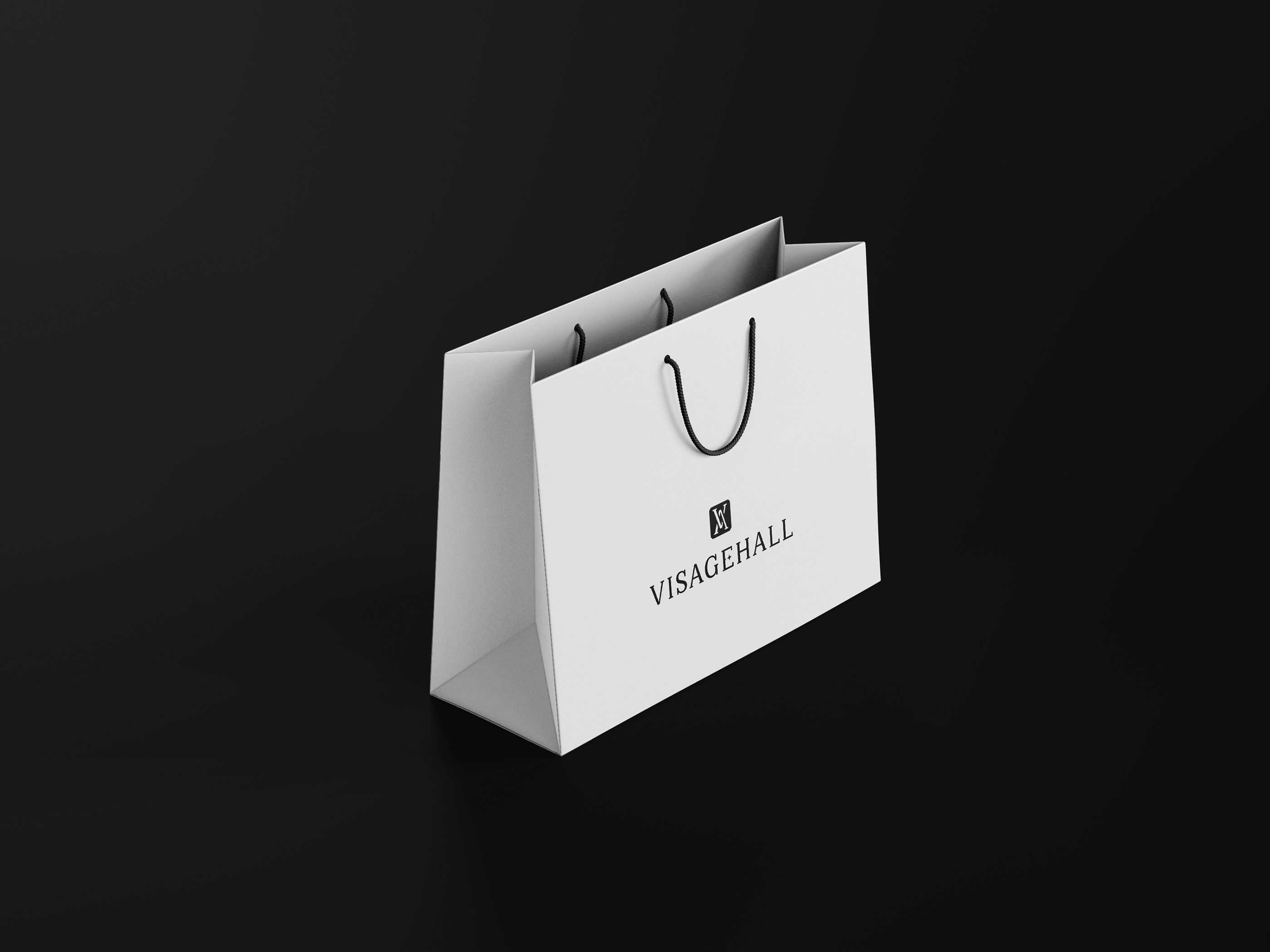 VISAGE HALL - rebranding — Изображение №16 — Брендинг, Графика на Dprofile