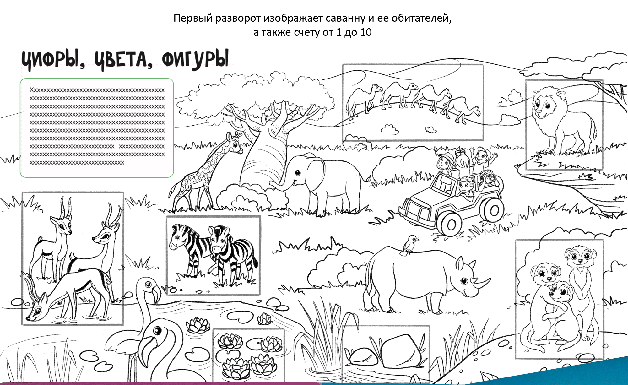 Детская книга с окошками. Саванна. Море. Ферма. Магазин. — Изображение №3 — Иллюстрация на Dprofile