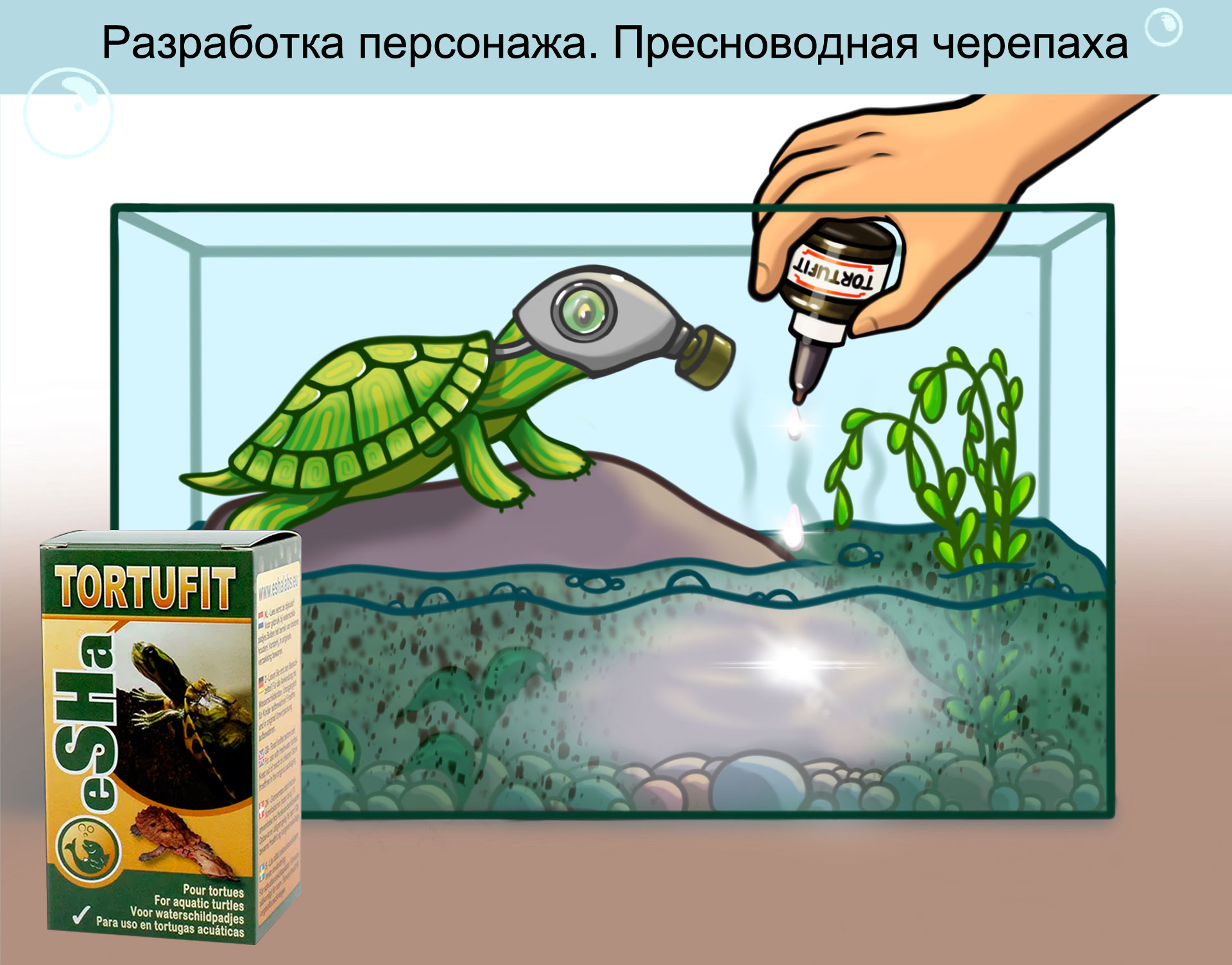 Бренд-персонаж. Рыбки и черепаха. Иллюстрация — Изображение №12 — Брендинг, Иллюстрация на Dprofile