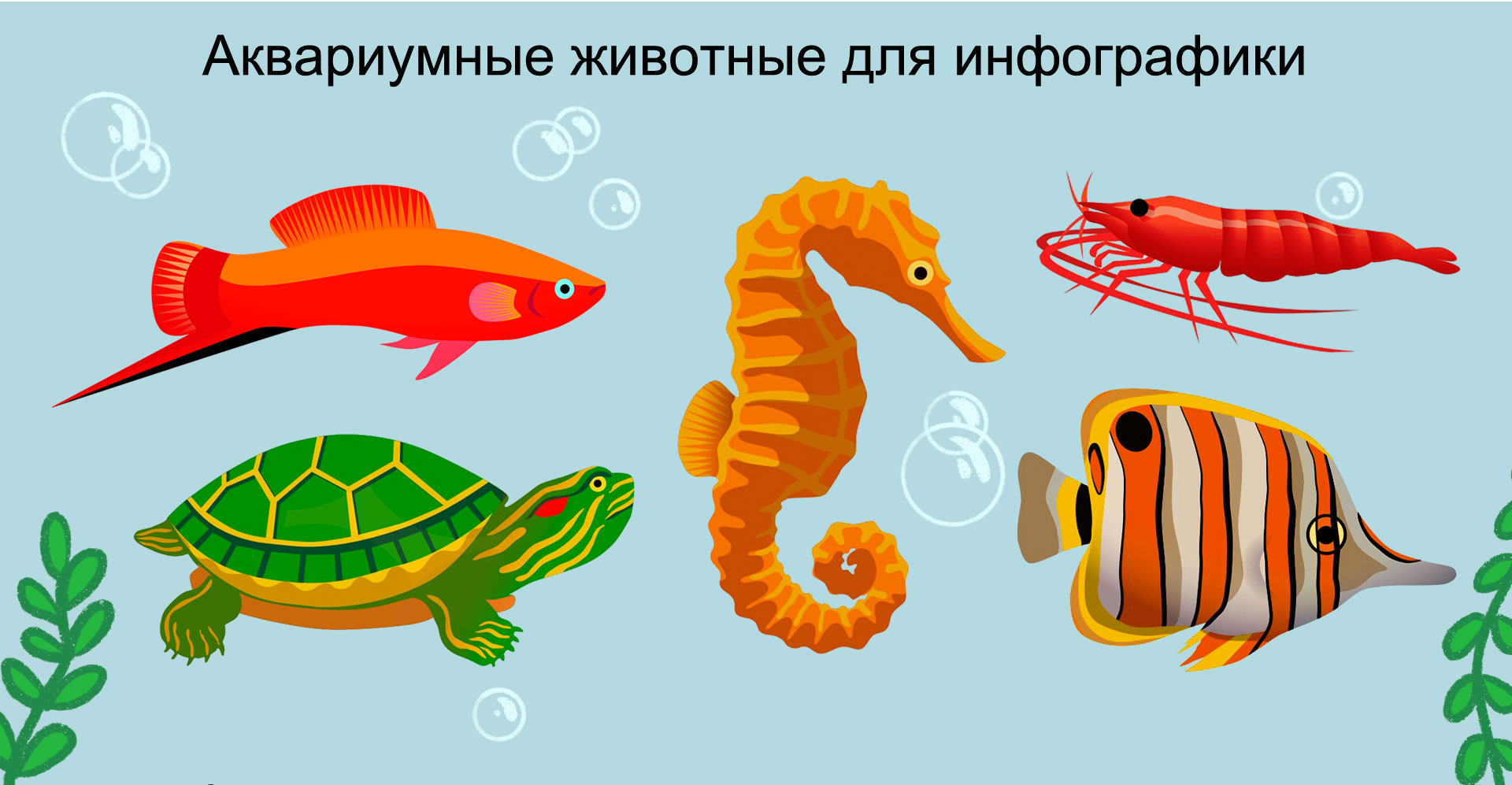 Бренд-персонаж. Рыбки и черепаха. Иллюстрация — Изображение №16 — Брендинг, Иллюстрация на Dprofile