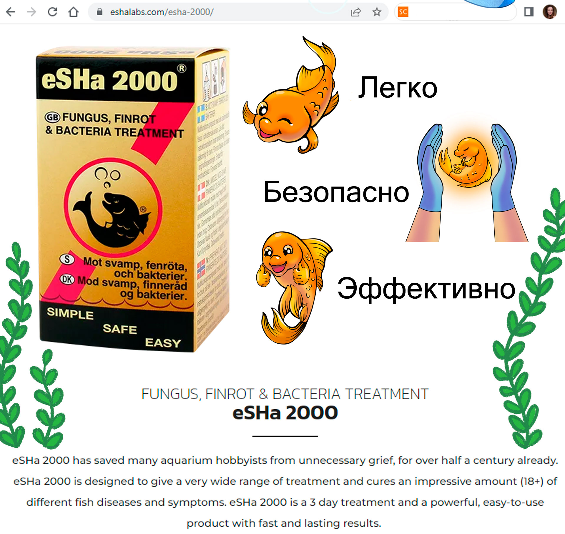 Бренд-персонаж. Рыбки и черепаха. Иллюстрация — Изображение №2 — Брендинг, Иллюстрация на Dprofile