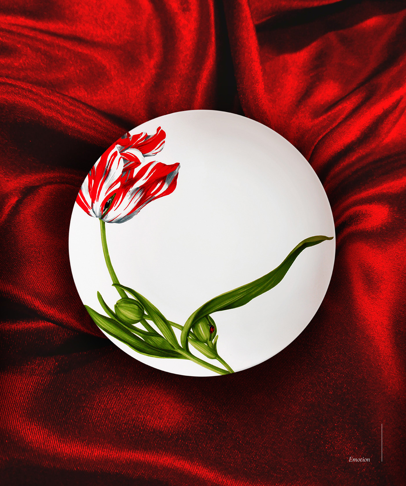 Верстка брошюры для бренда посуды. — Изображение №4 — Графика на Dprofile