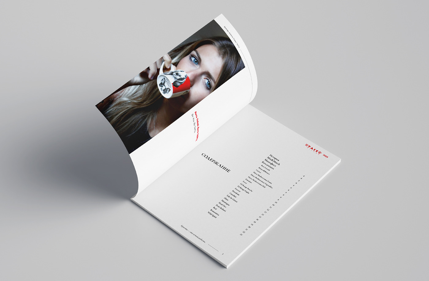 Верстка брошюры для бренда посуды. — Изображение №2 — Графика на Dprofile