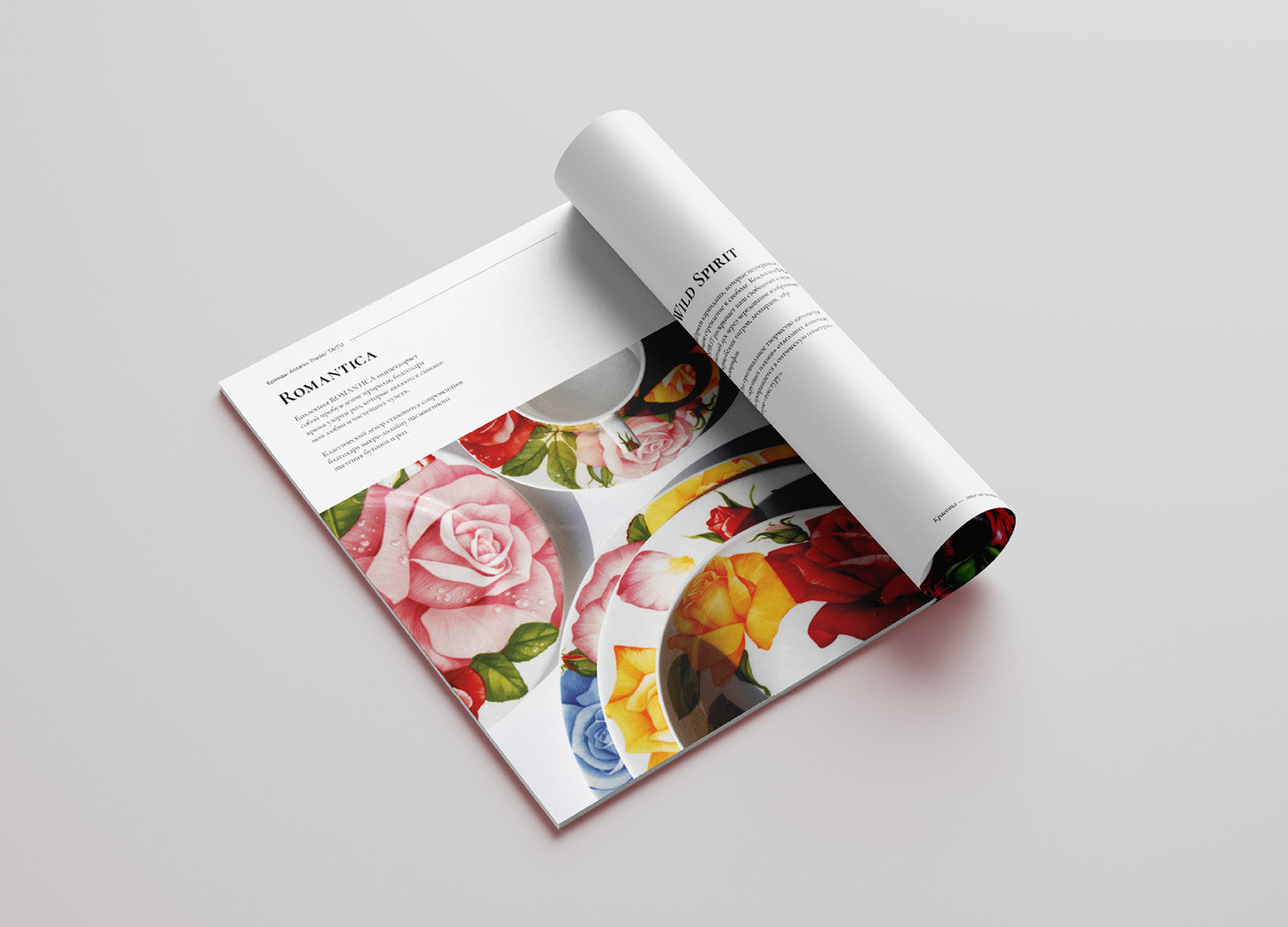 Верстка брошюры для бренда посуды. — Изображение №16 — Графика на Dprofile