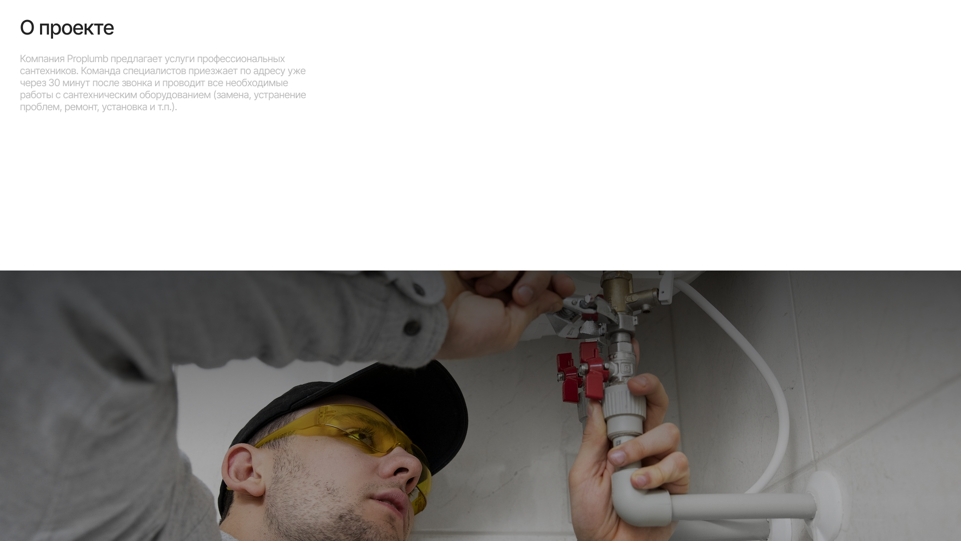 Лендинг для компании, которая предлагает услуги сантехников — Изображение №2 — Маркетинг, Интерфейсы на Dprofile