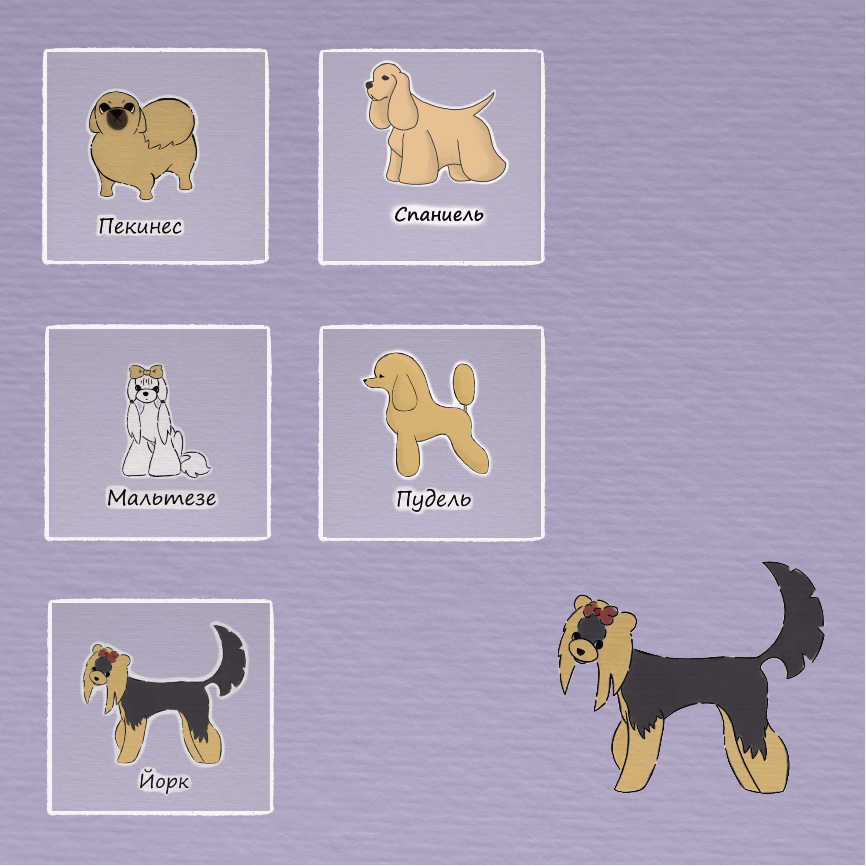 Упаковка бренда грумера — Изображение №4 — Брендинг, Иллюстрация на Dprofile