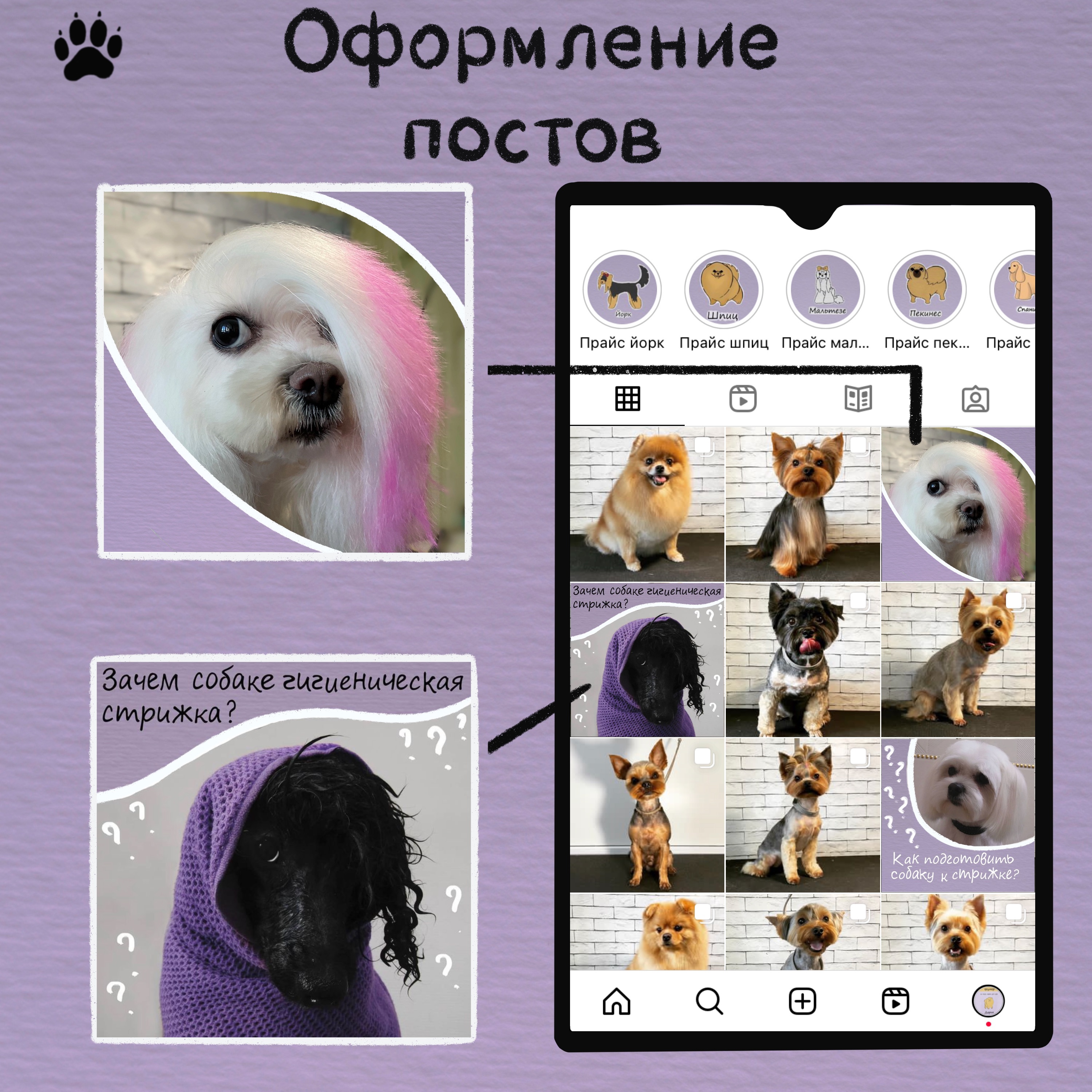 Упаковка бренда грумера — Изображение №6 — Брендинг, Иллюстрация на Dprofile