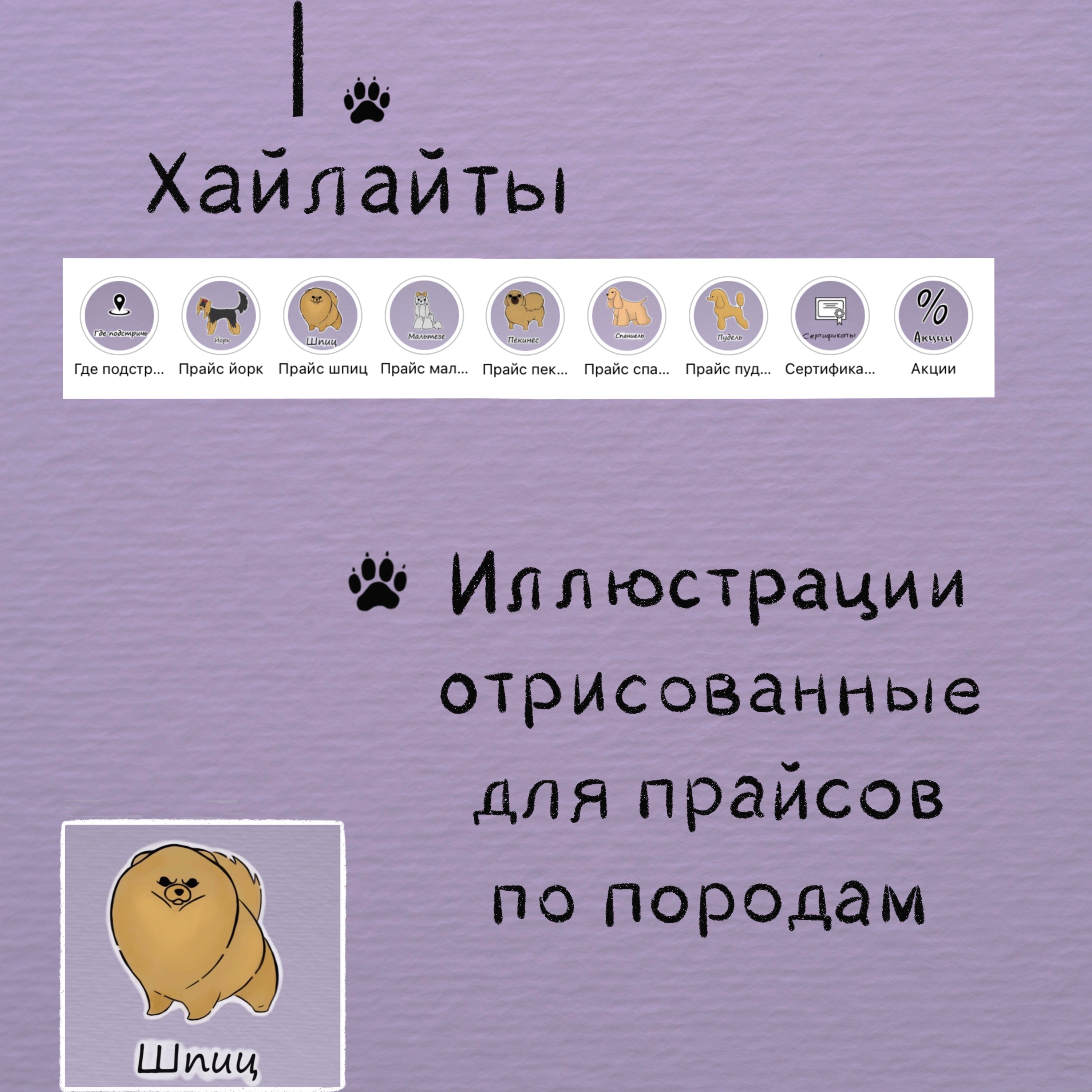 Упаковка бренда грумера — Изображение №3 — Брендинг, Иллюстрация на Dprofile