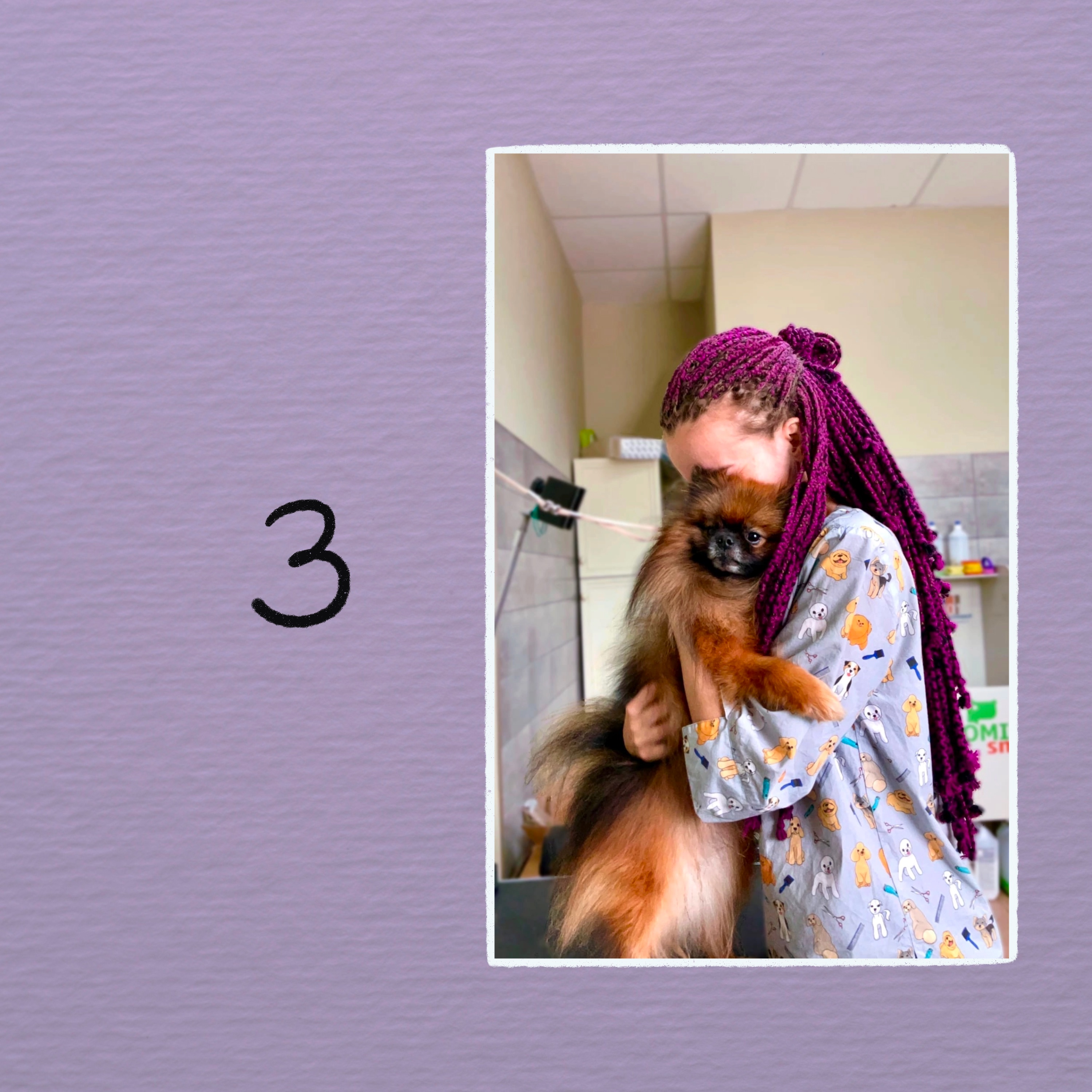 Упаковка бренда грумера — Изображение №9 — Брендинг, Иллюстрация на Dprofile