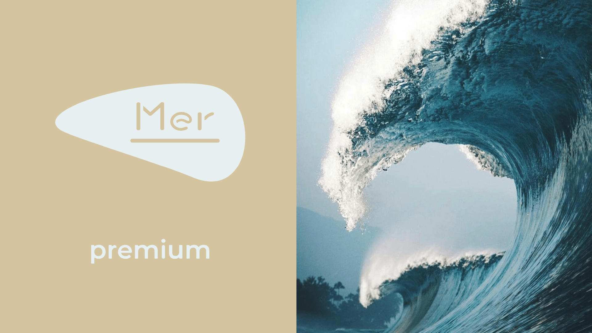 Mer - logo and identity — Изображение №4 — Брендинг на Dprofile