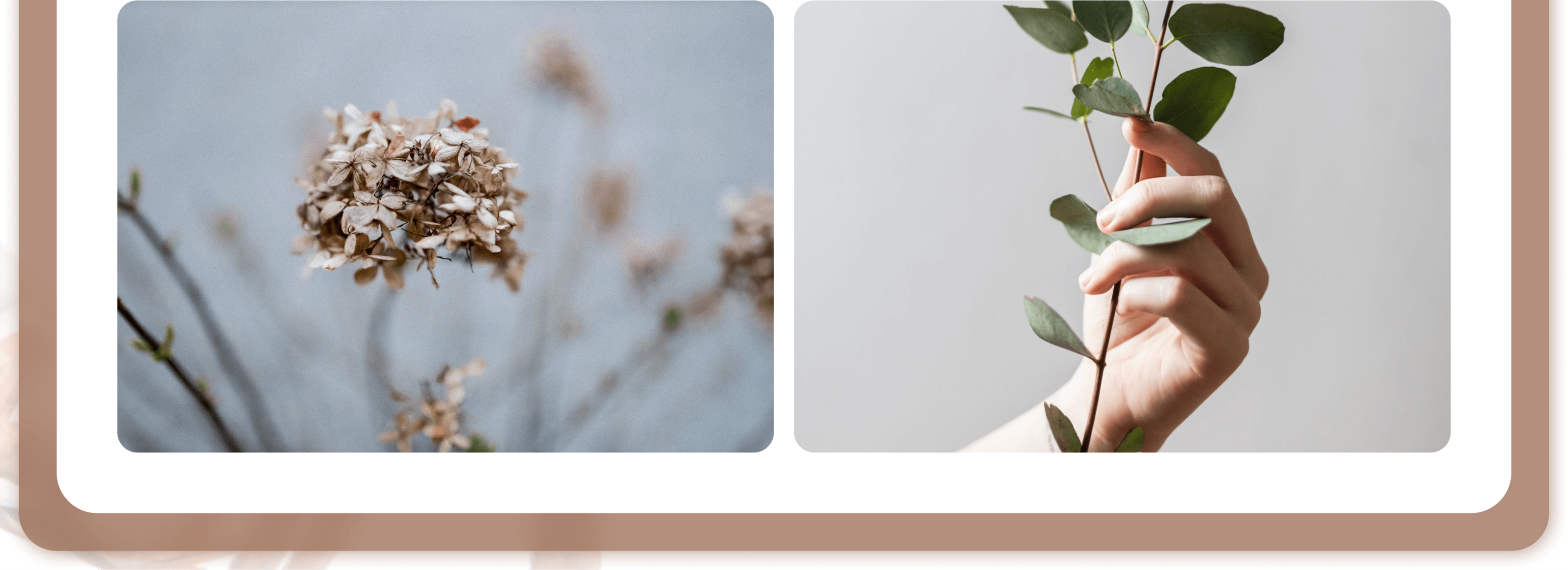 Landing Page | Online psychotherapy service — Изображение №5 — Интерфейсы, 3D на Dprofile
