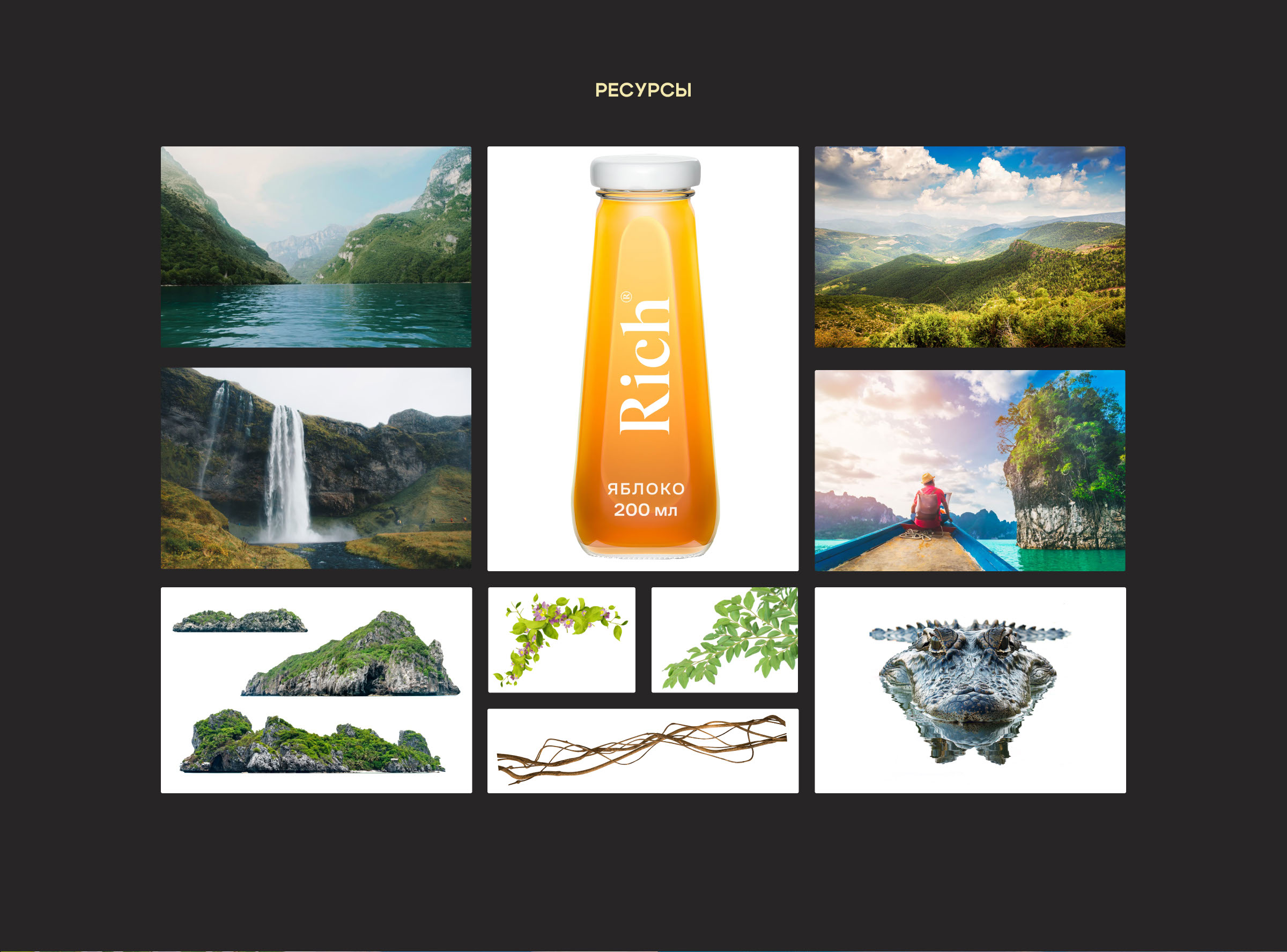 Juice Rich | Key visual — Изображение №2 — Графика на Dprofile