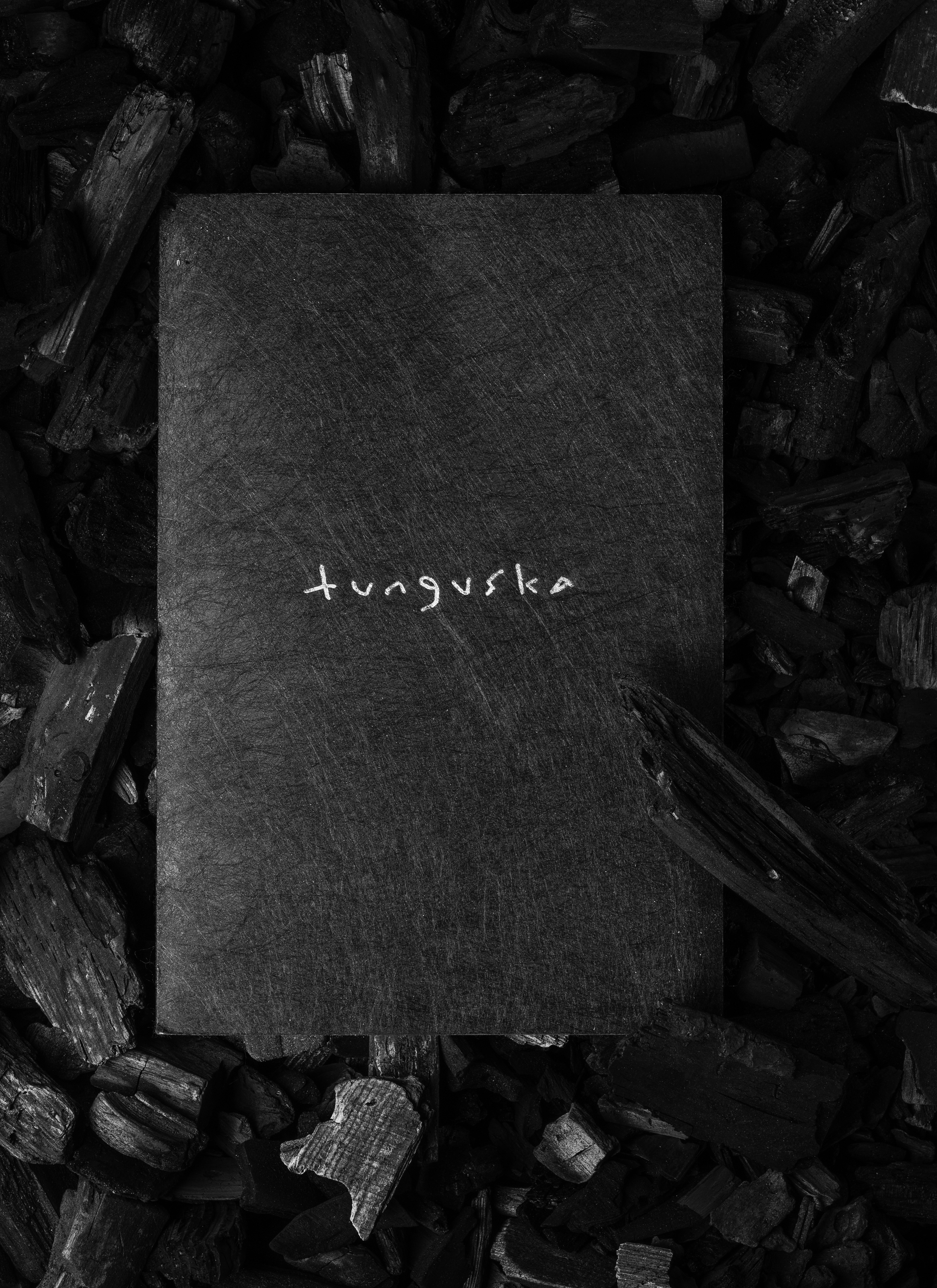 Tunguska — Изображение №1 — Брендинг на Dprofile