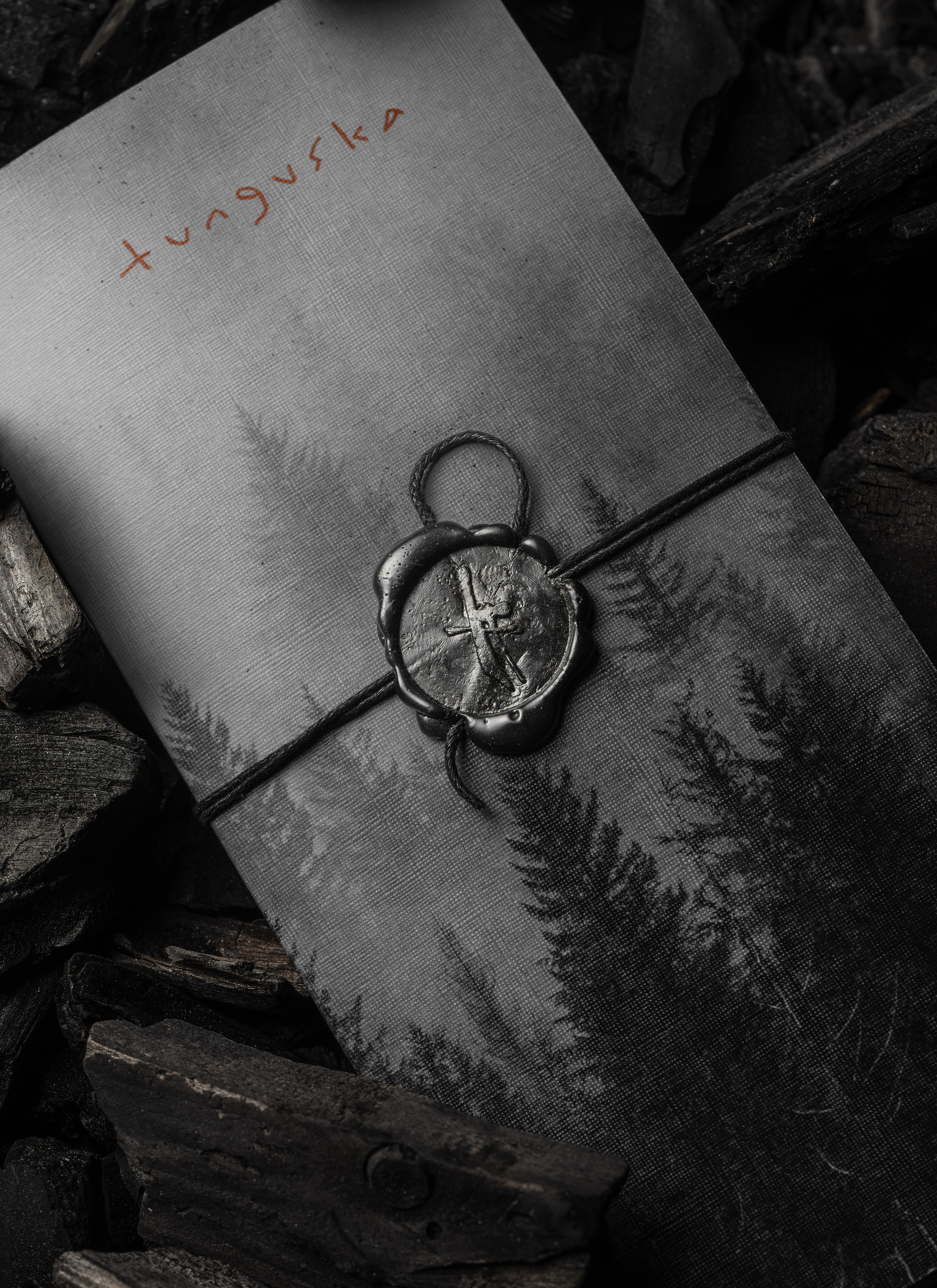 Tunguska — Изображение №15 — Брендинг на Dprofile