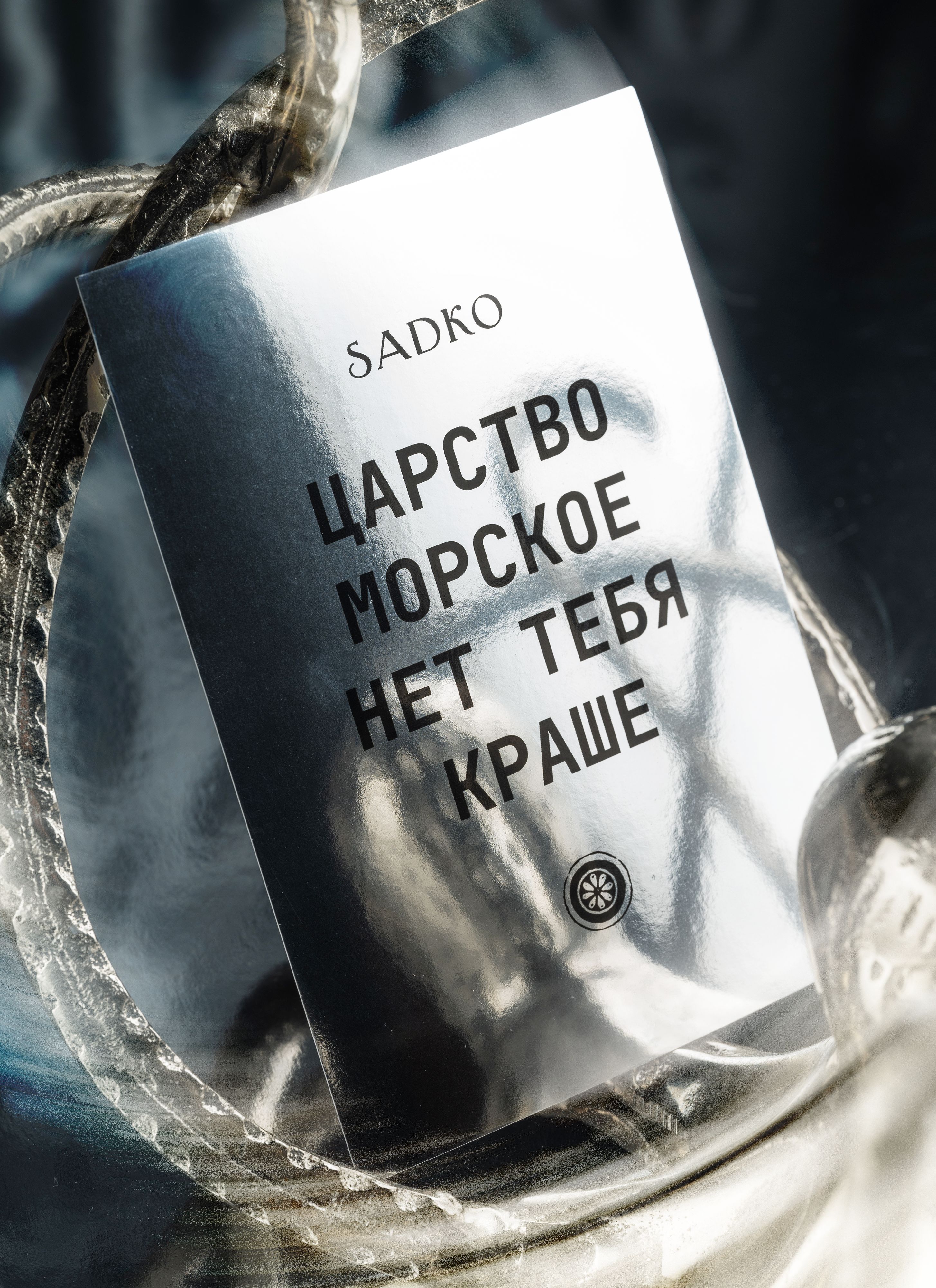 Sadko — Изображение №4 — Брендинг на Dprofile