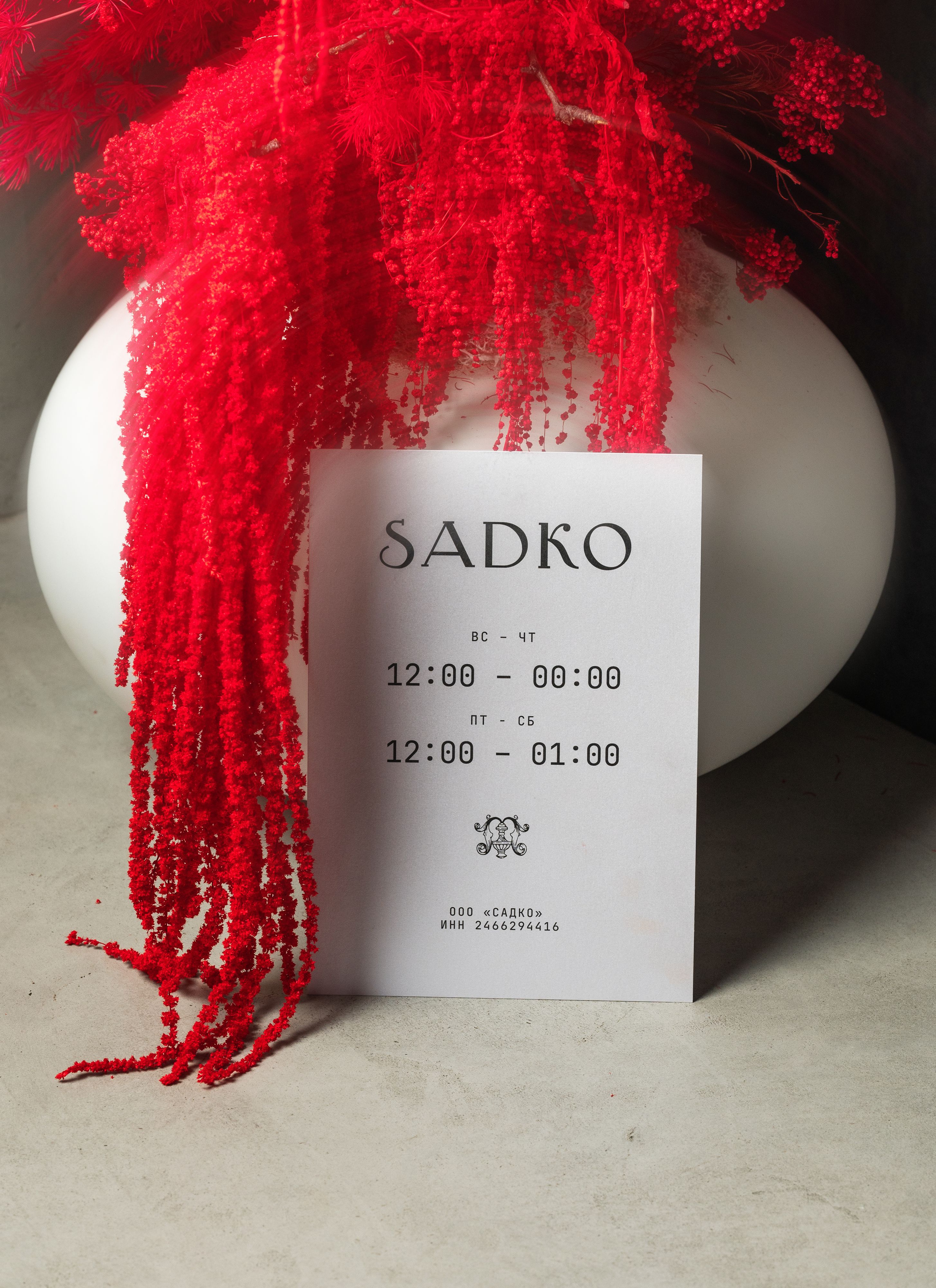 Sadko — Изображение №22 — Брендинг на Dprofile