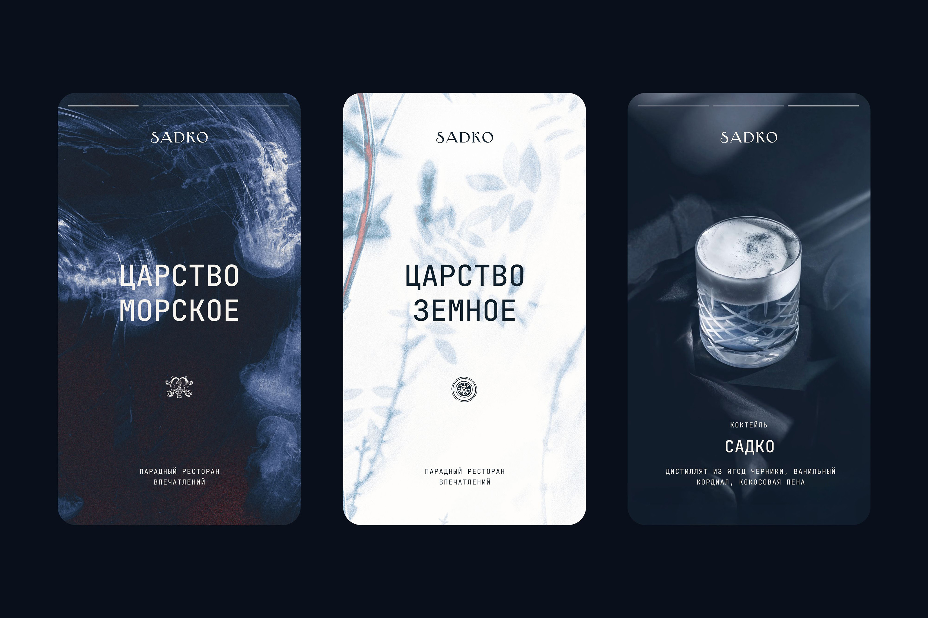Sadko — Изображение №6 — Брендинг на Dprofile
