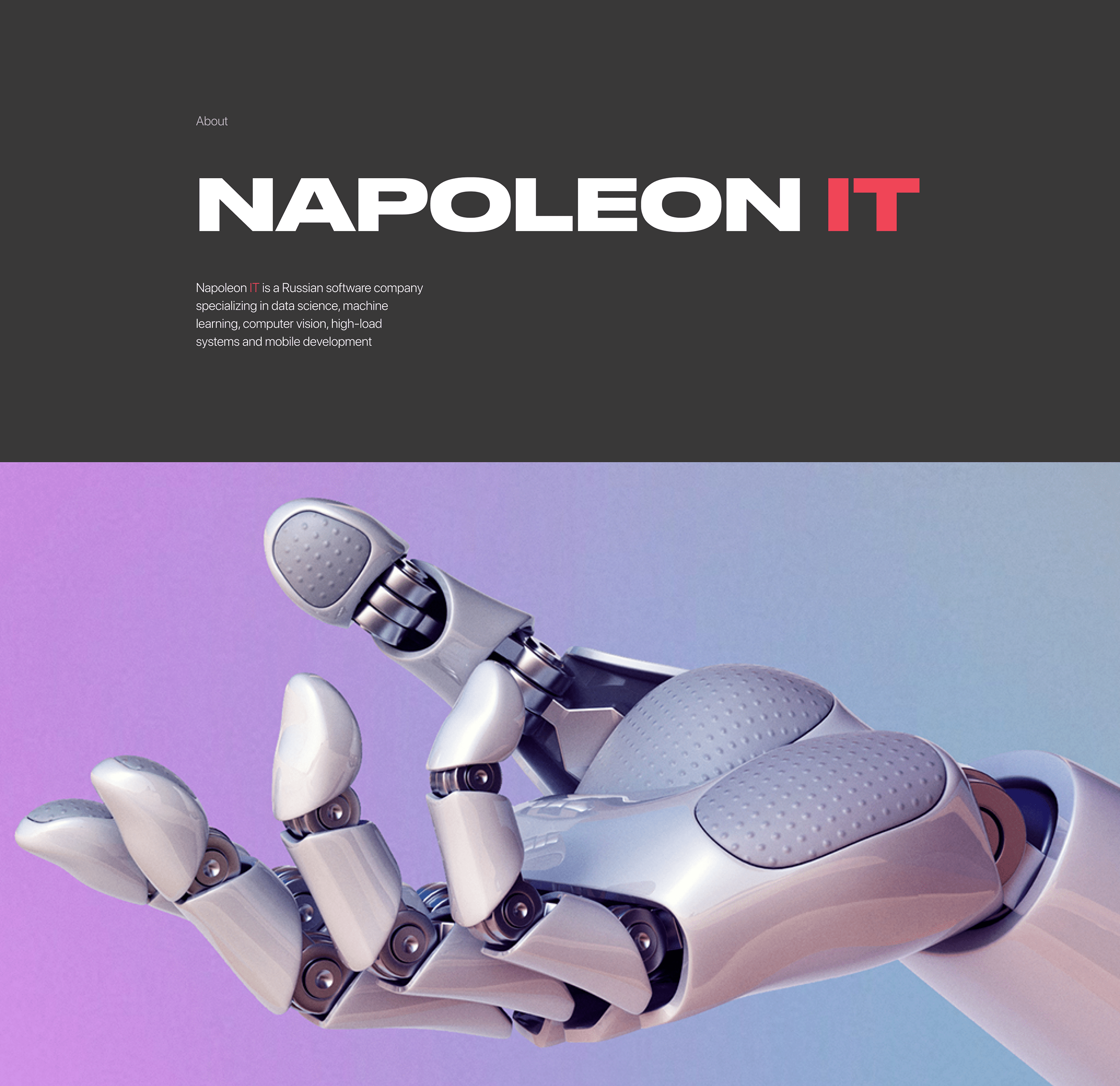 Napoleon IT — New Website — Изображение №1 — Интерфейсы на Dprofile