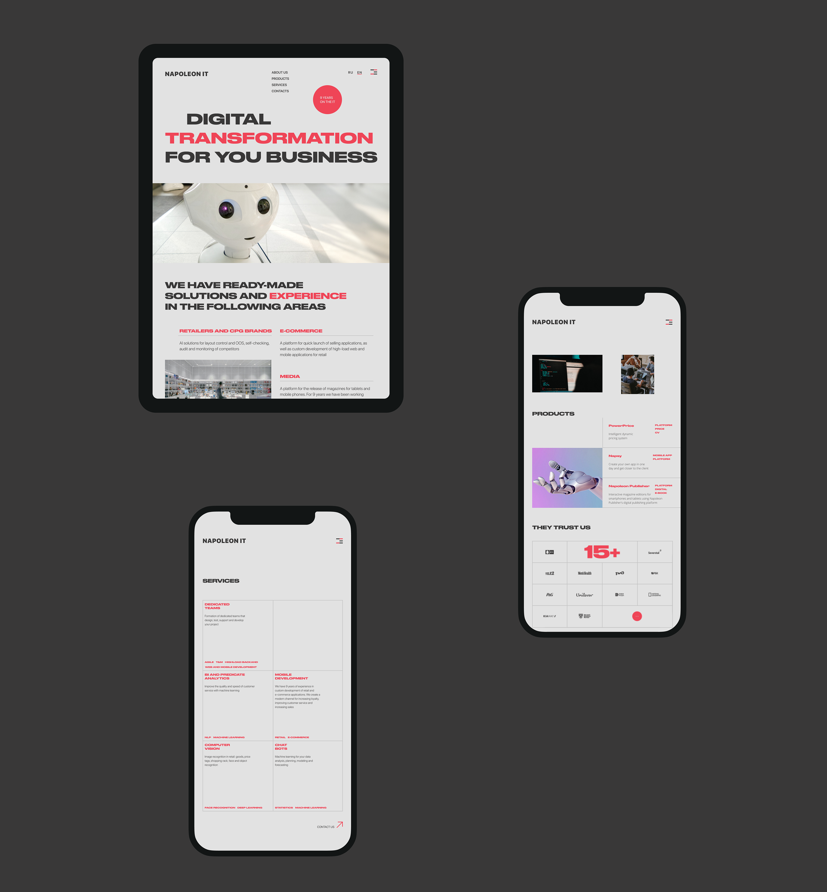 Napoleon IT — New Website — Изображение №3 — Интерфейсы на Dprofile