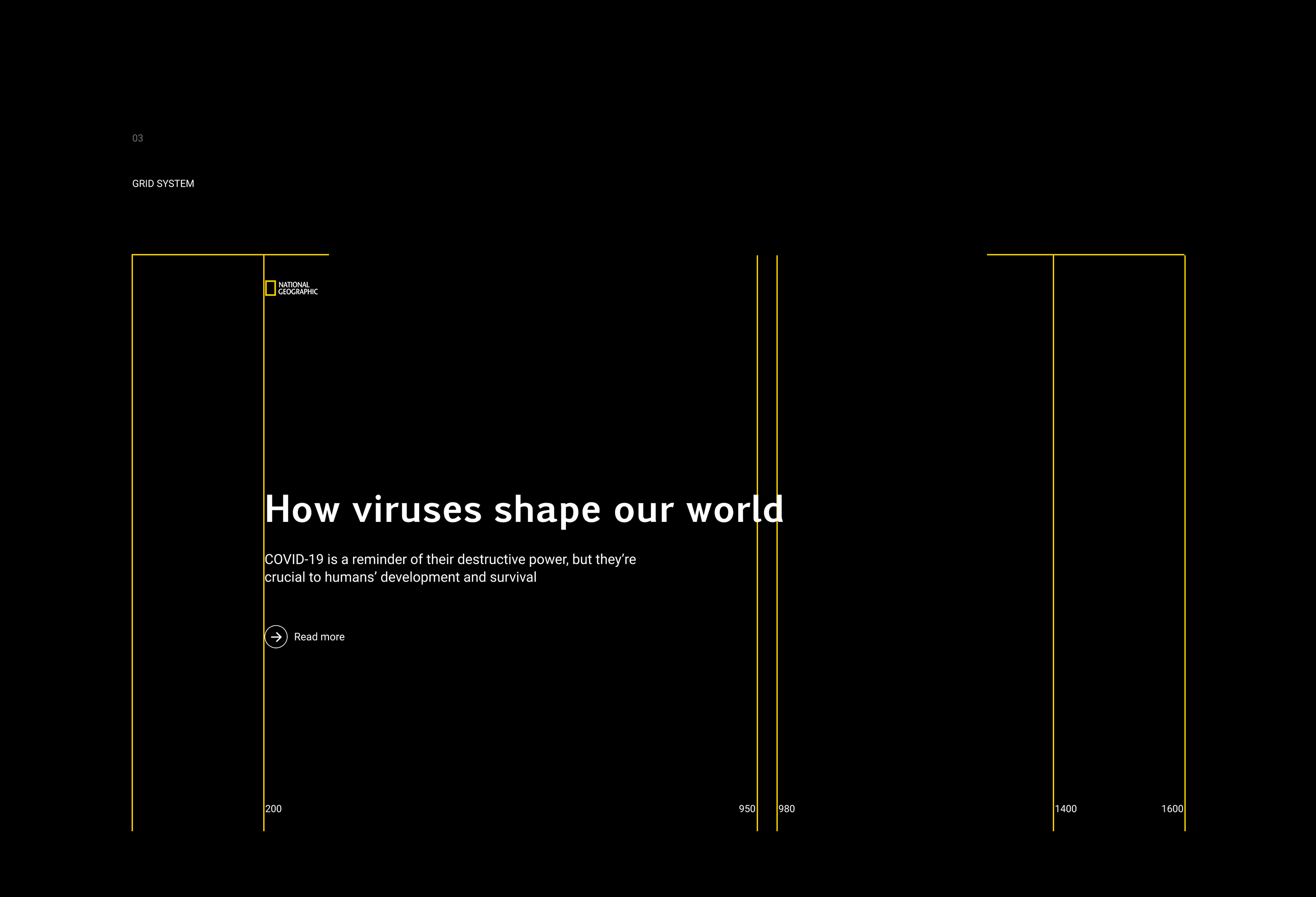 National Geographic — Website Redesign — Изображение №5 — Интерфейсы на Dprofile