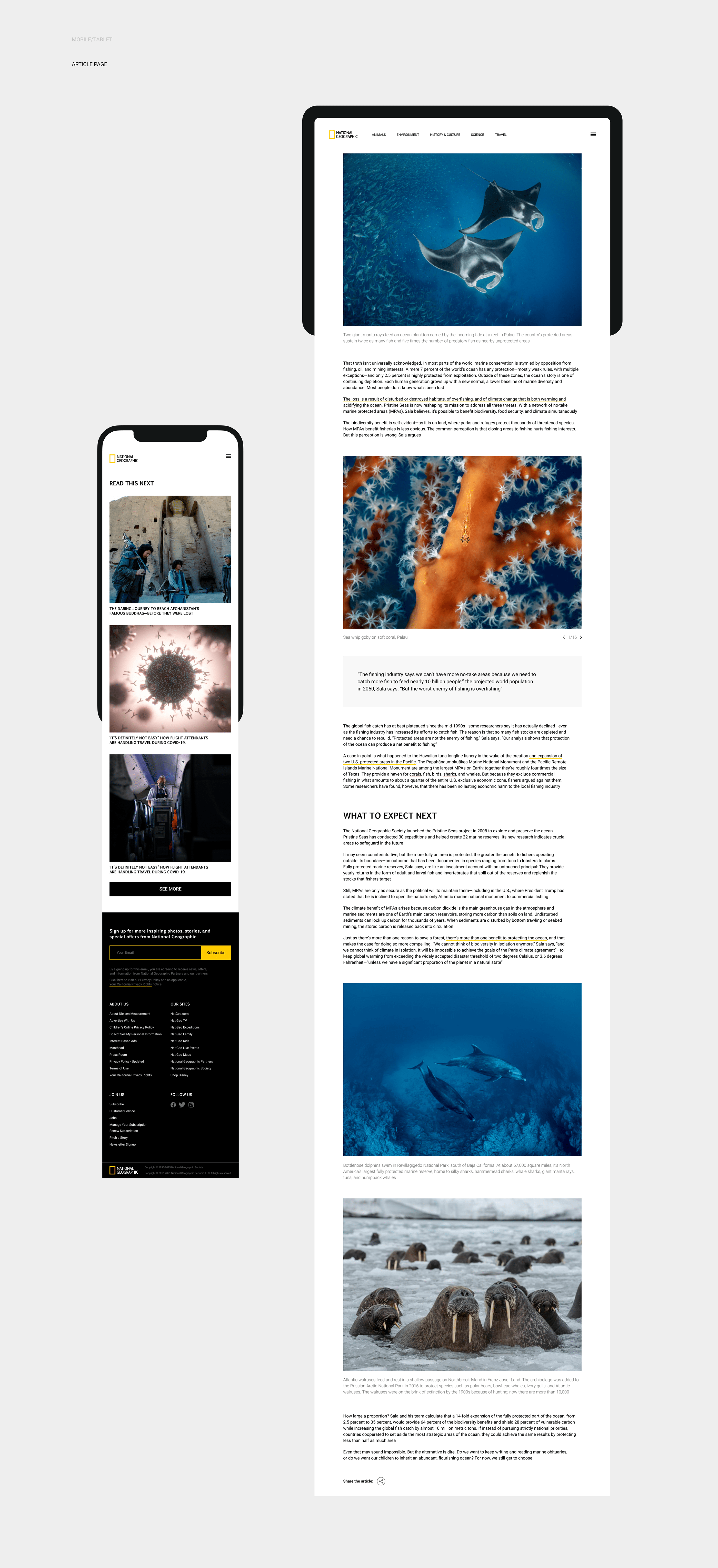 National Geographic — Website Redesign — Изображение №7 — Интерфейсы на Dprofile