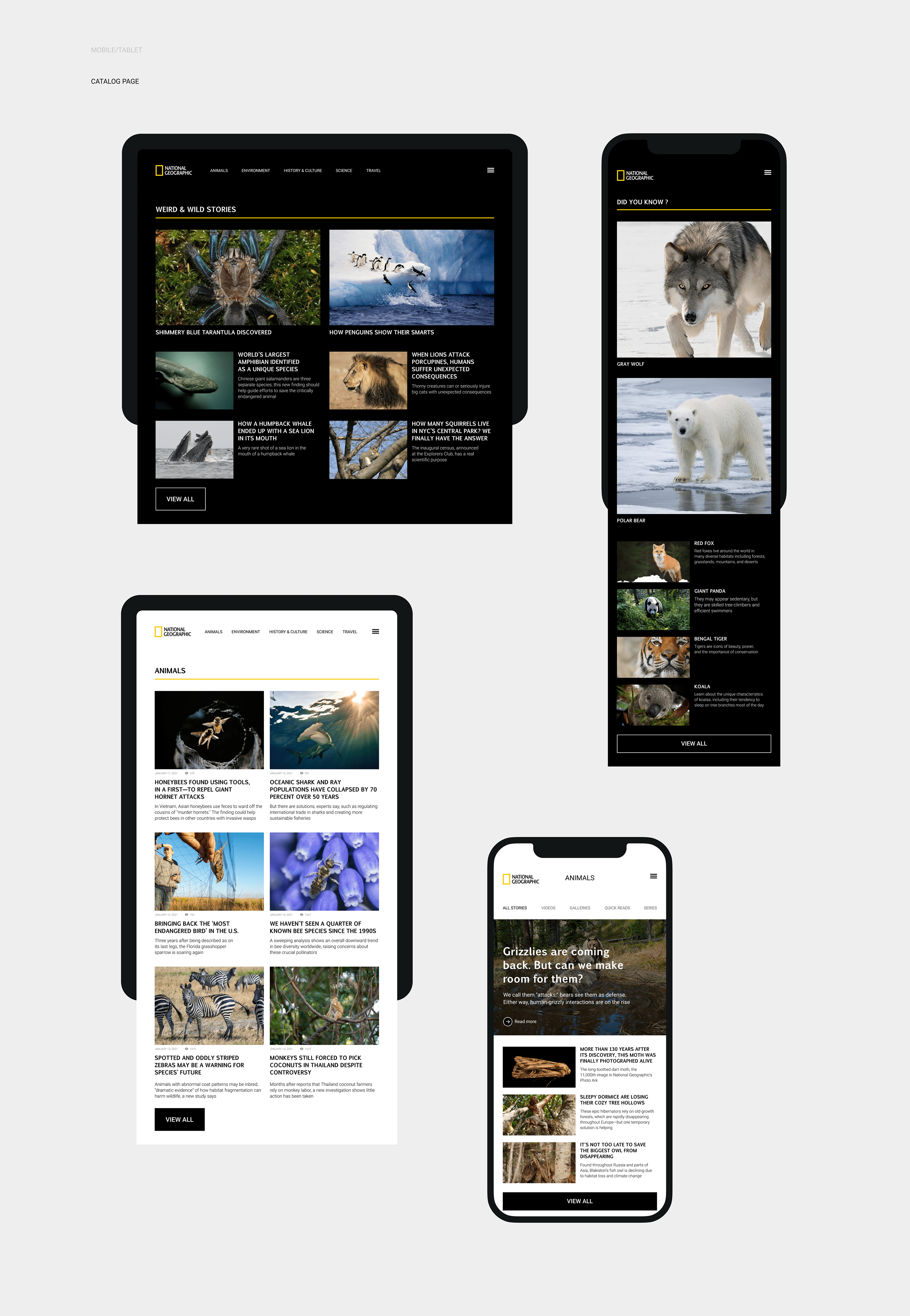 National Geographic — Website Redesign — Изображение №11 — Интерфейсы на Dprofile