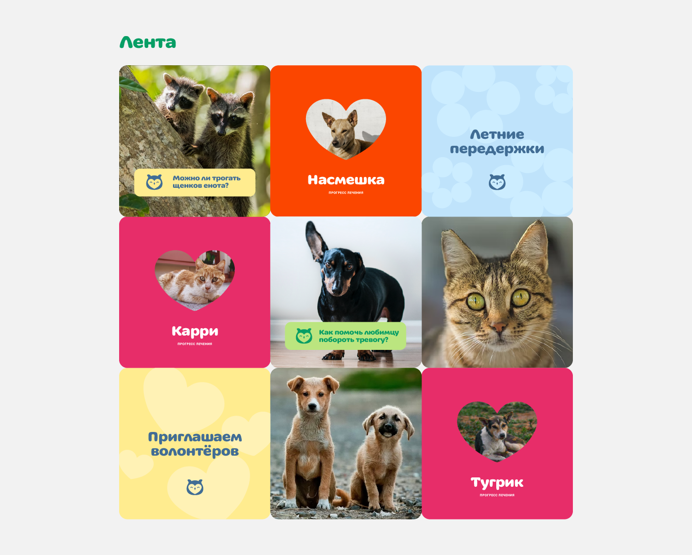 Добрая сова — Изображение №7 — Брендинг на Dprofile