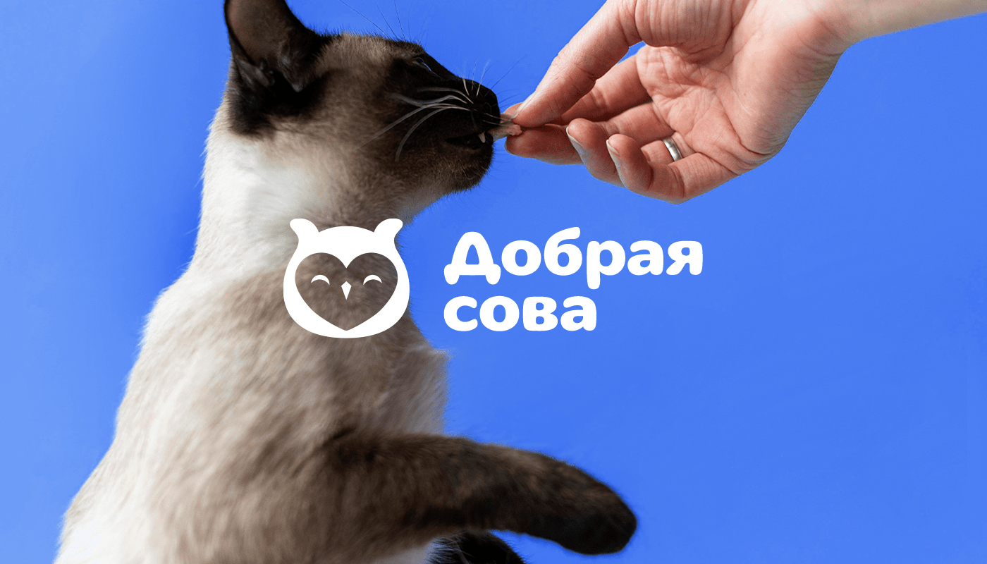 Добрая сова — Изображение №1 — Брендинг на Dprofile