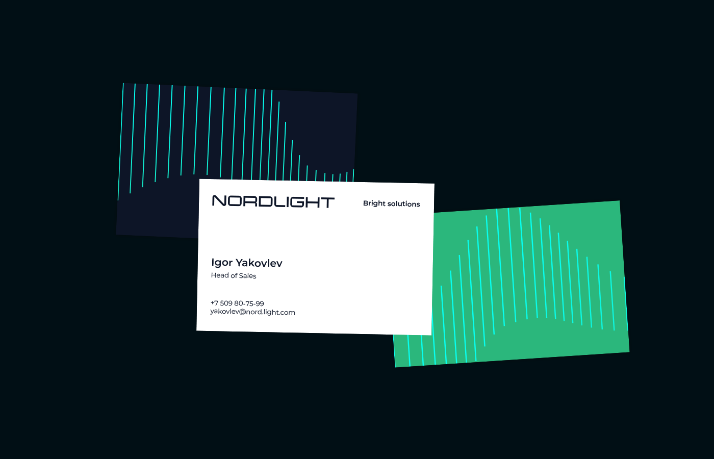 Nordlight — Изображение №4 — Брендинг на Dprofile