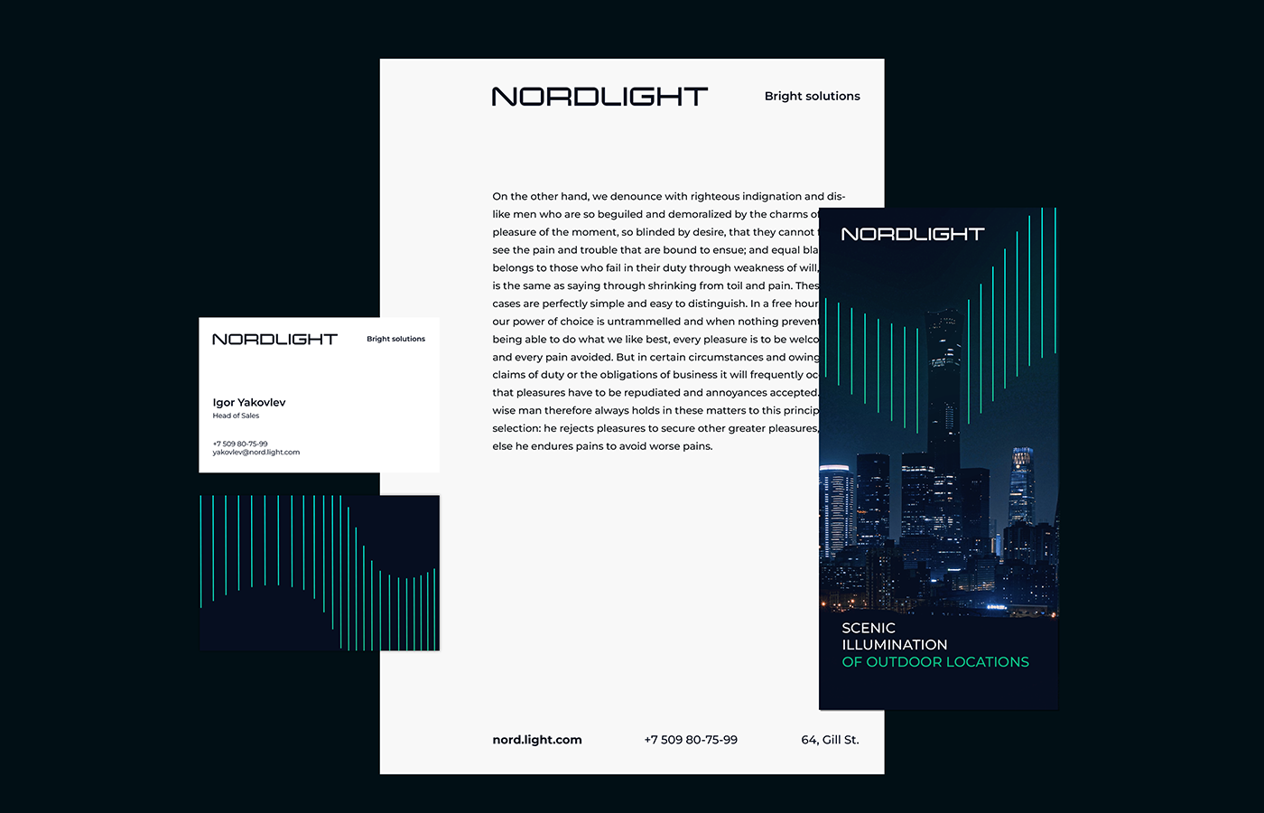 Nordlight — Изображение №6 — Брендинг на Dprofile