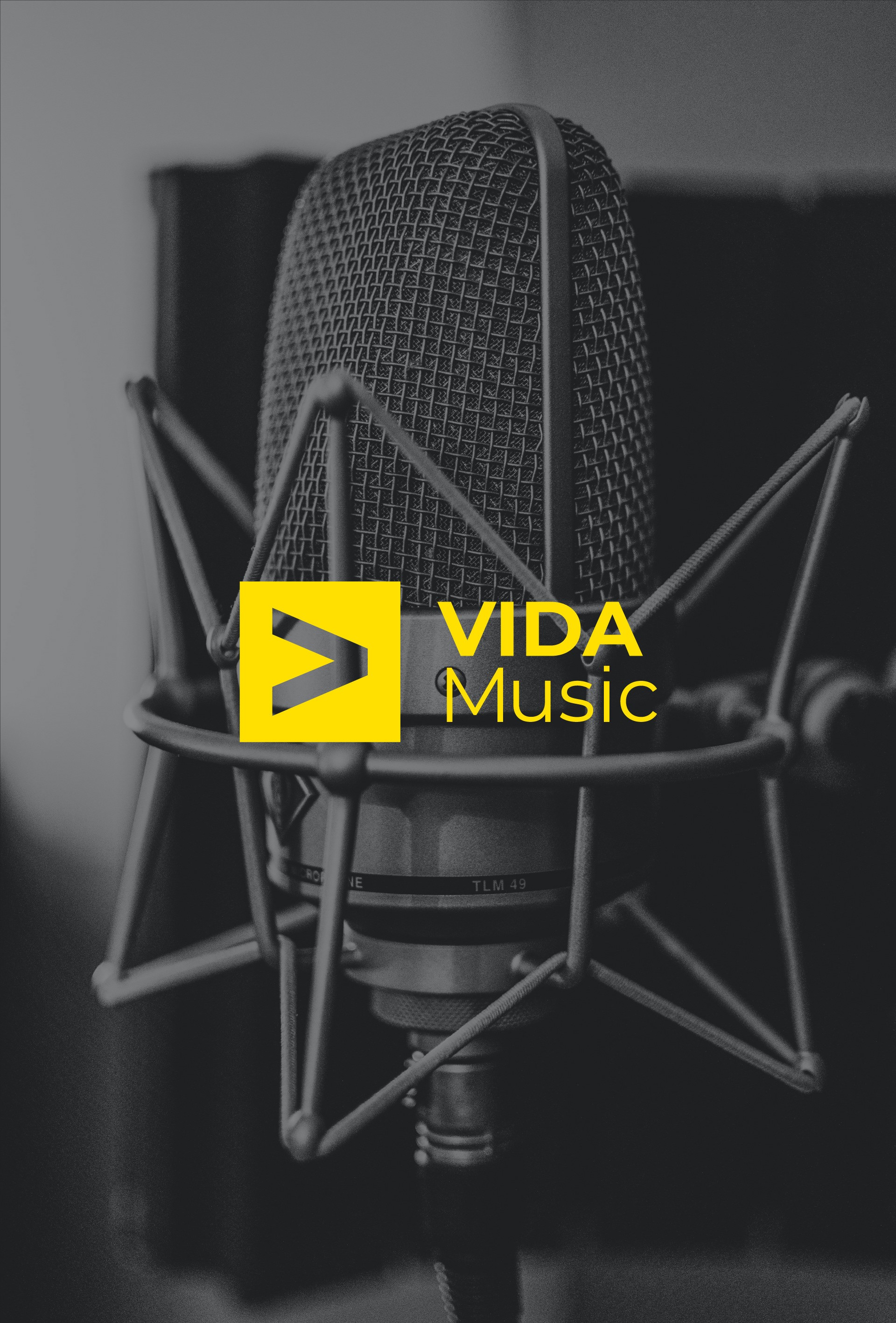 VIDA Music — Изображение №4 — Брендинг на Dprofile