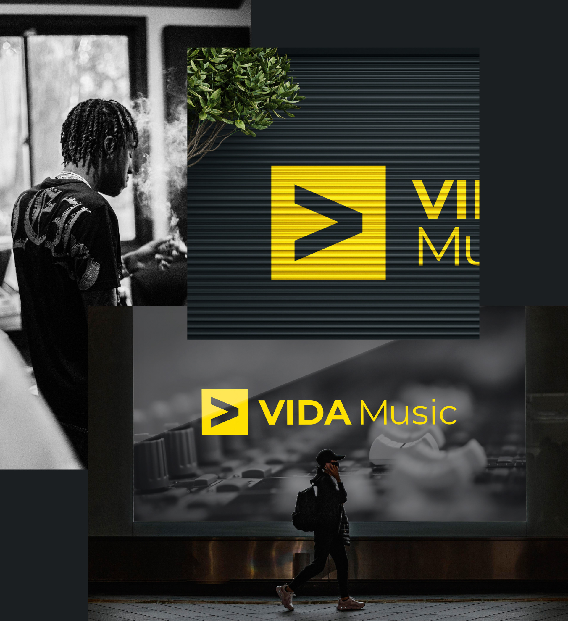 VIDA Music — Изображение №12 — Брендинг на Dprofile