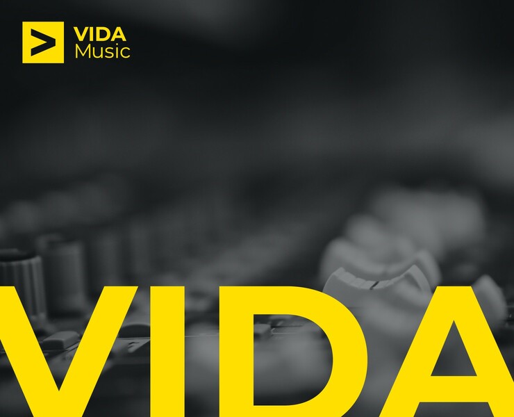 VIDA Music — Брендинг на Dprofile
