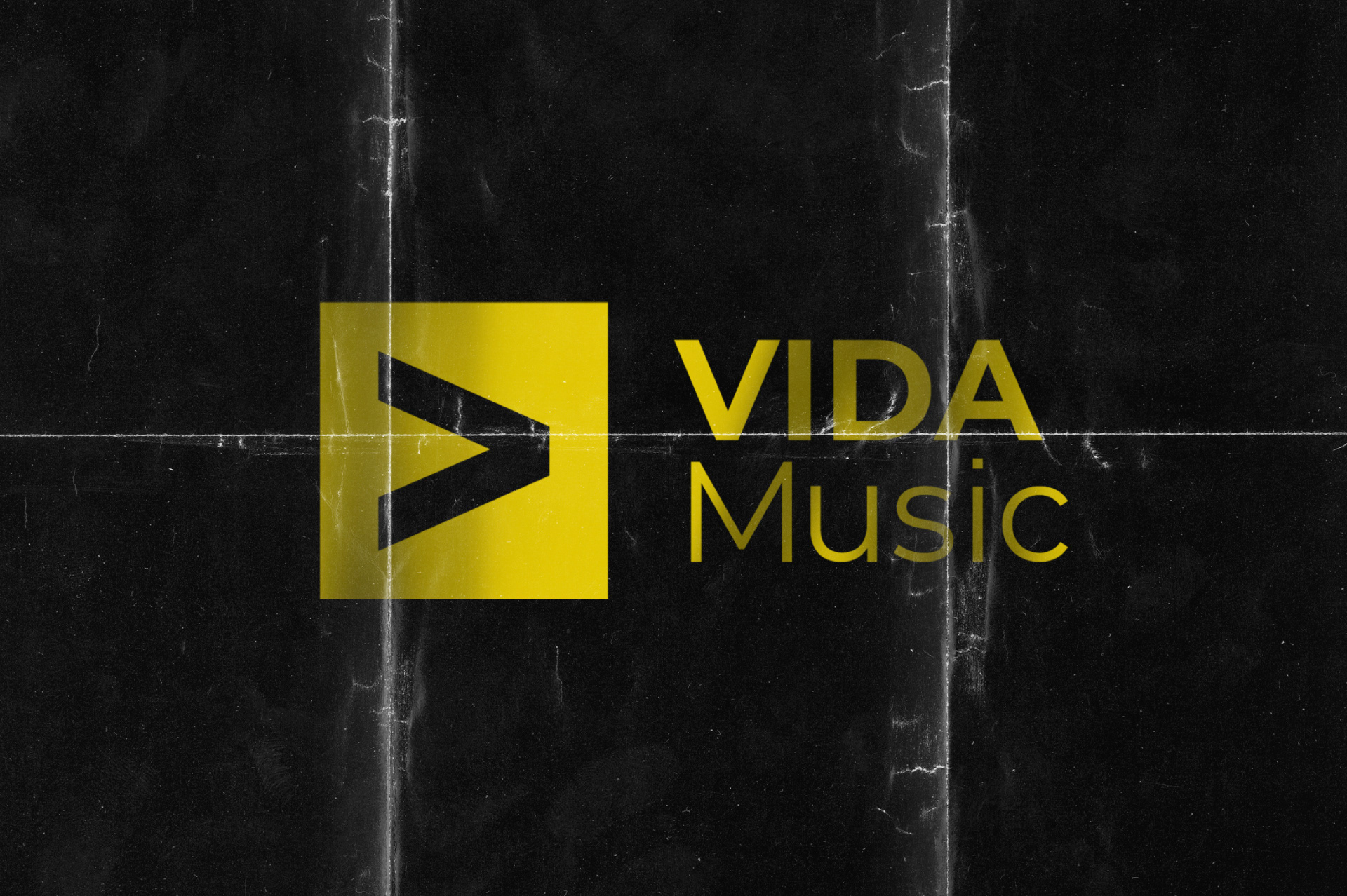 VIDA Music — Изображение №15 — Брендинг на Dprofile